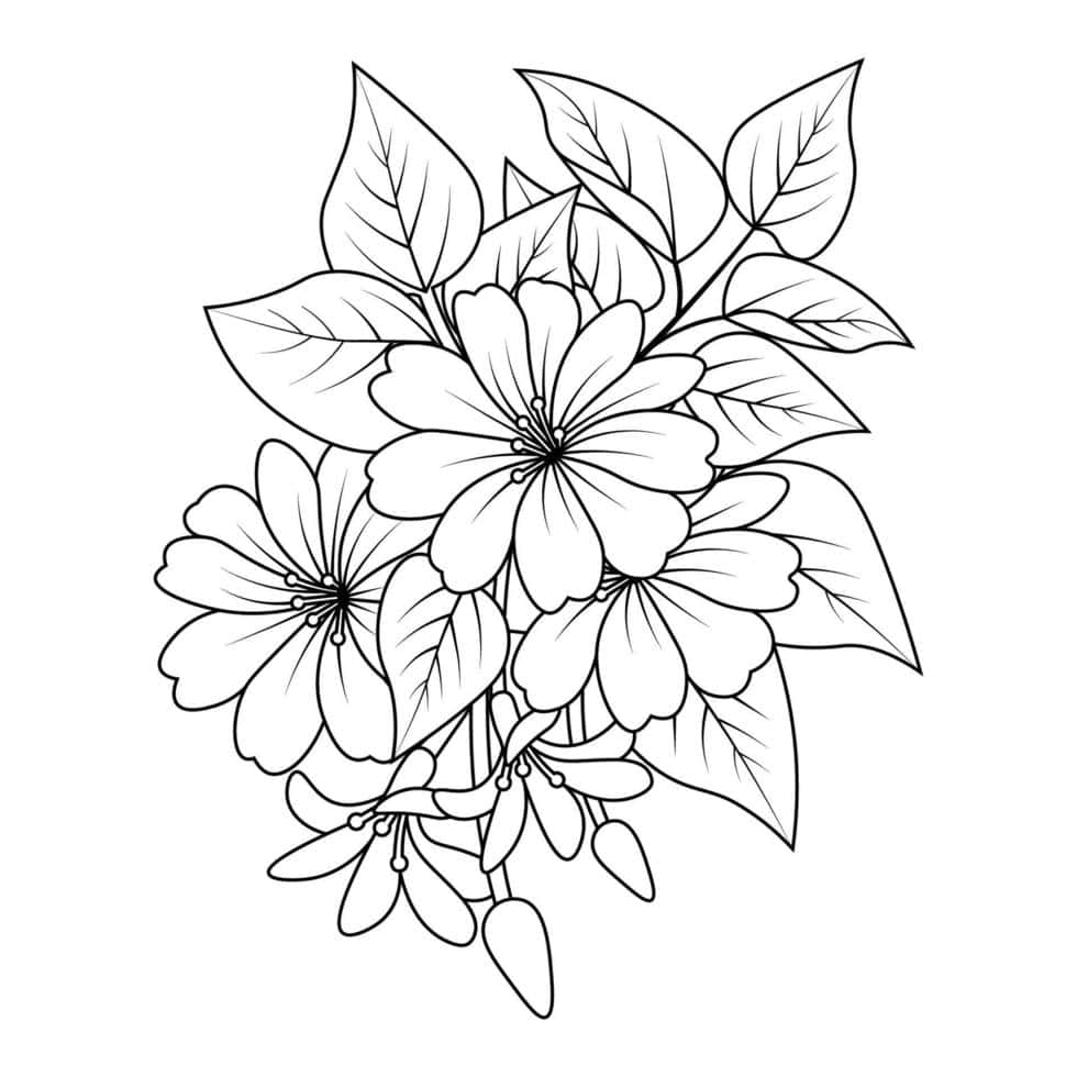 Black And White Drawings 桌布 壁紙 — 精緻的黑白線條畫，描繪盛開的花朵和葉子，花瓣和莖部細節豐富。