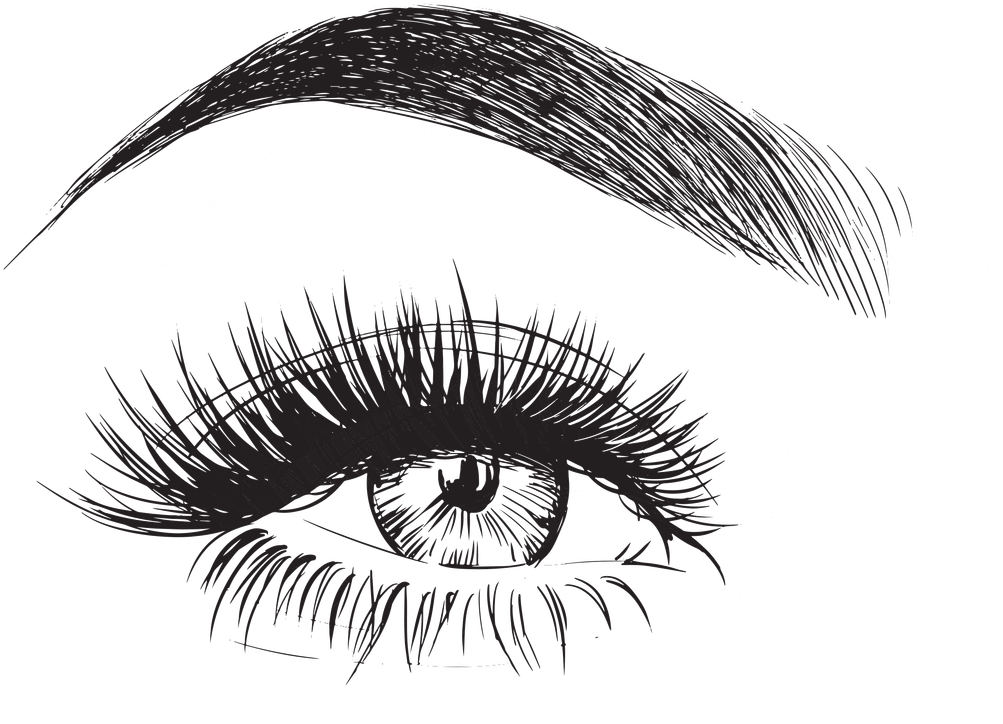 精緻眉眼插畫 壁紙 — 一幅高度詳細的黑白線條藝術插圖，描繪了一隻擁有長睫毛和拱形眉毛的人類眼睛，背景是純黑色。