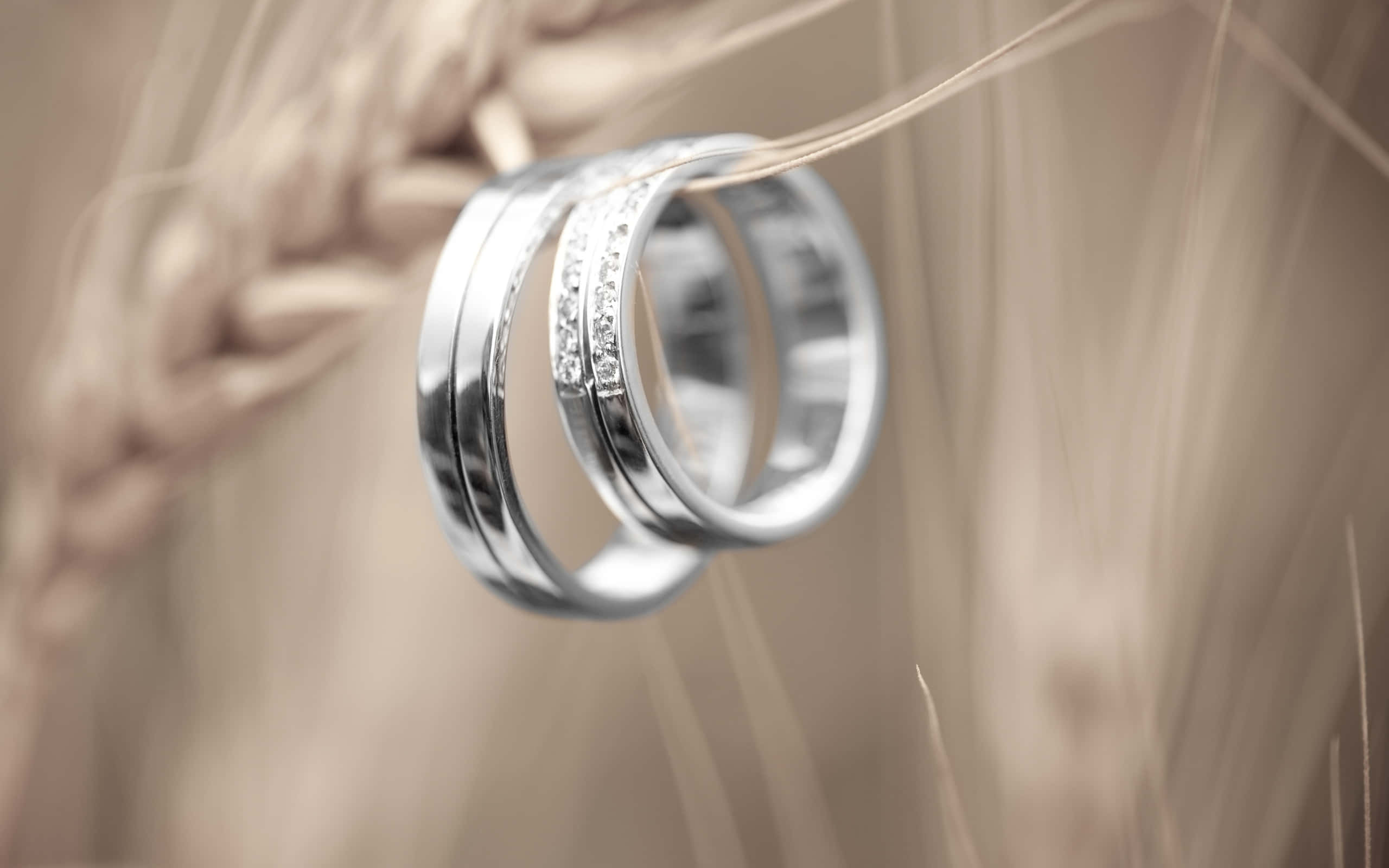 精緻耳環，提升日常造型 壁紙 — 兩枚優雅的銀色結婚戒指鑲有鑽石，交織在金色麥稈上，呈現柔和焦點。