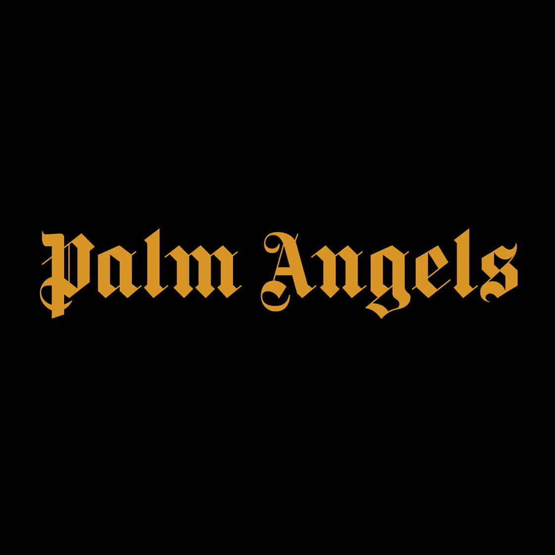 黑色背景上顯示 Palm Angels 的金色哥德式文字
