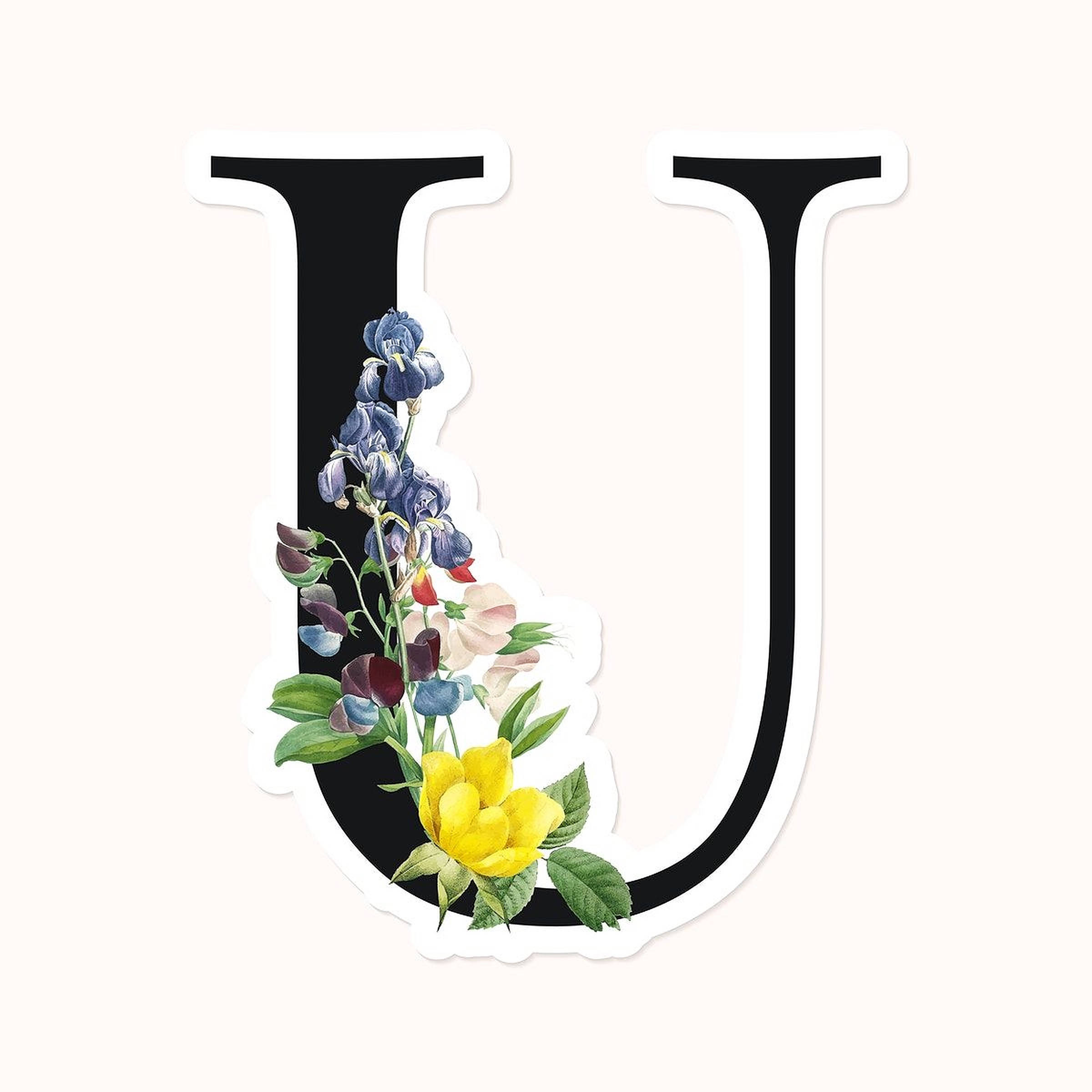 精緻花卉設計字母U 壁紙 — 一個大膽的黑色字母U，飾以藍色、黃色和粉紅色鮮花組成的鮮豔花卉佈置，襯以柔和的奶油色背景。