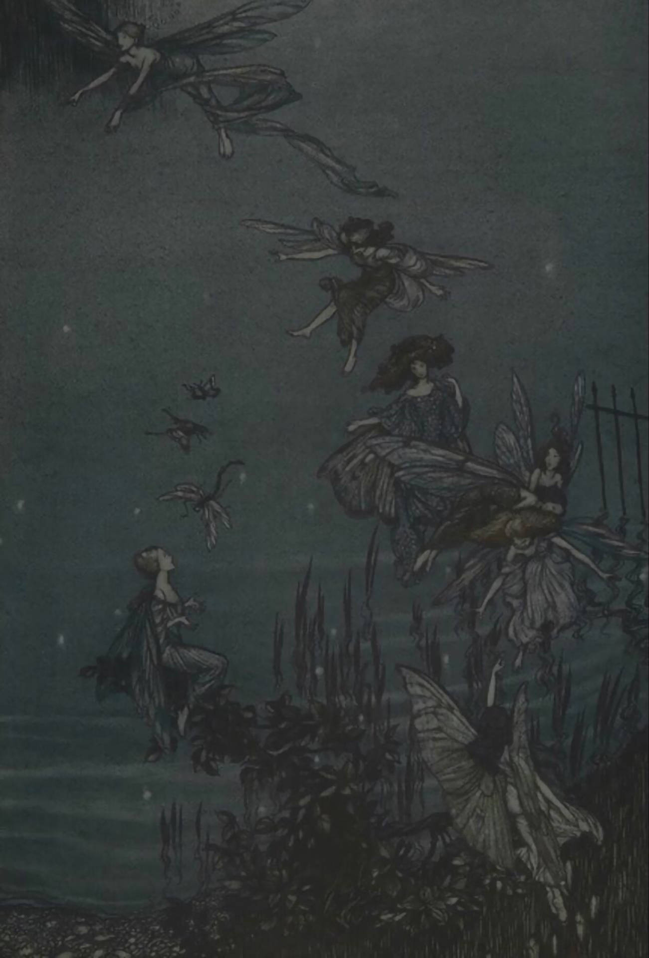精靈龐克精靈與蜻蜓 壁紙 — 童話插圖，描繪有翼仙女和蝴蝶在星空下漂浮在黑暗的水面上。