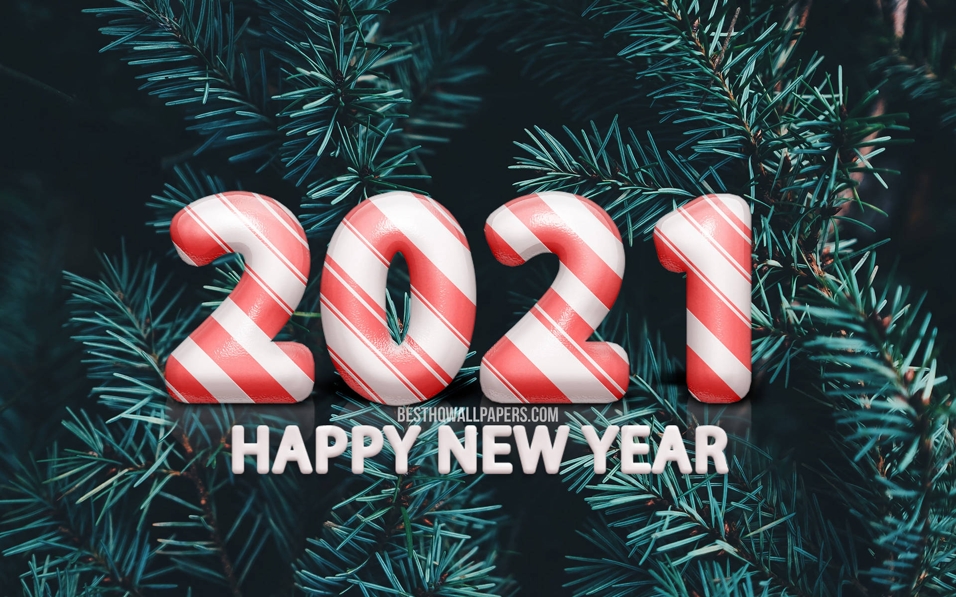 新年慶祝用的松枝上糖果棒風格的2021文字。 — 新年快樂 GIF 壁紙