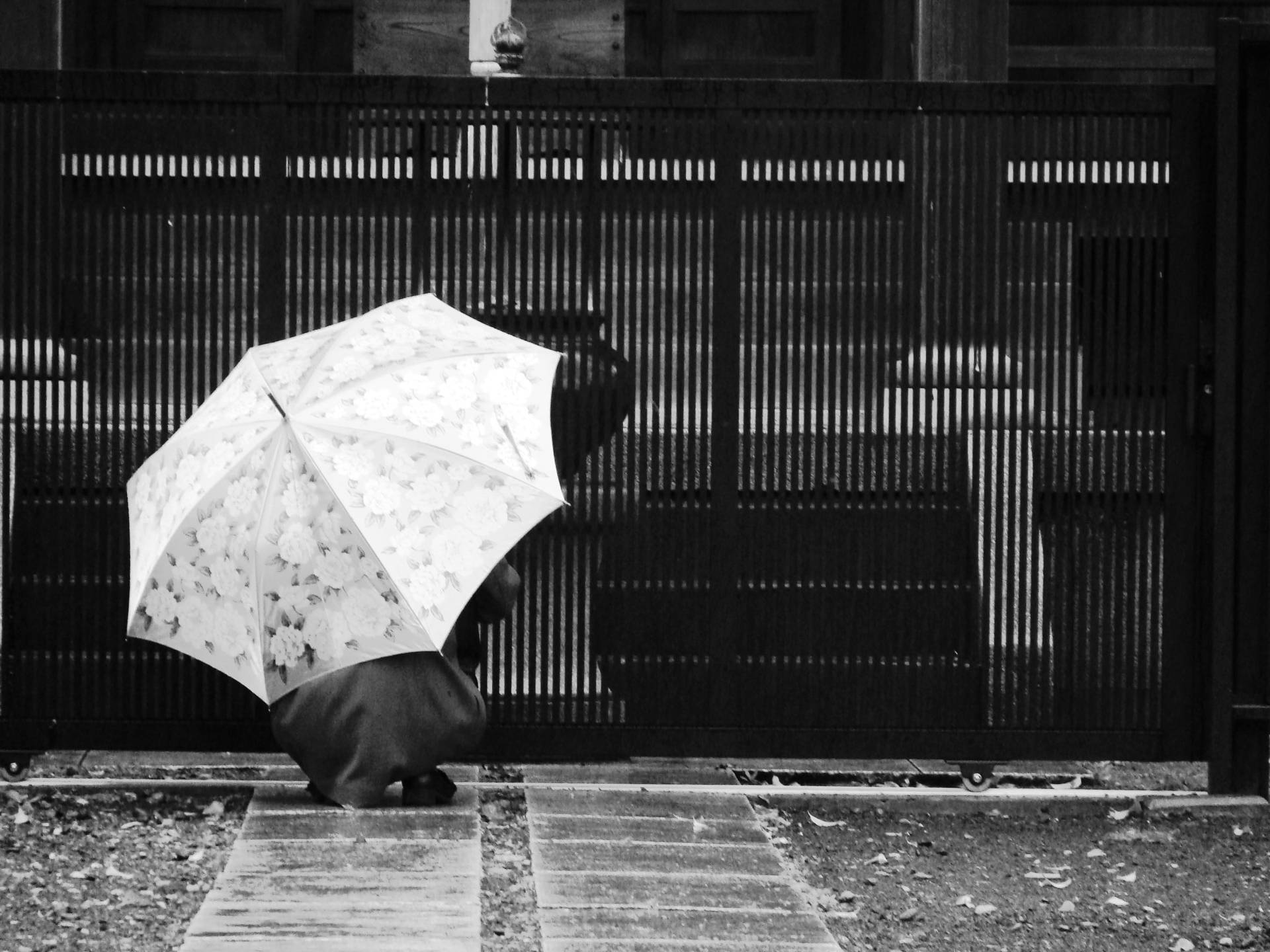 人蹲喺花雨遮下，近濕石路同木門。