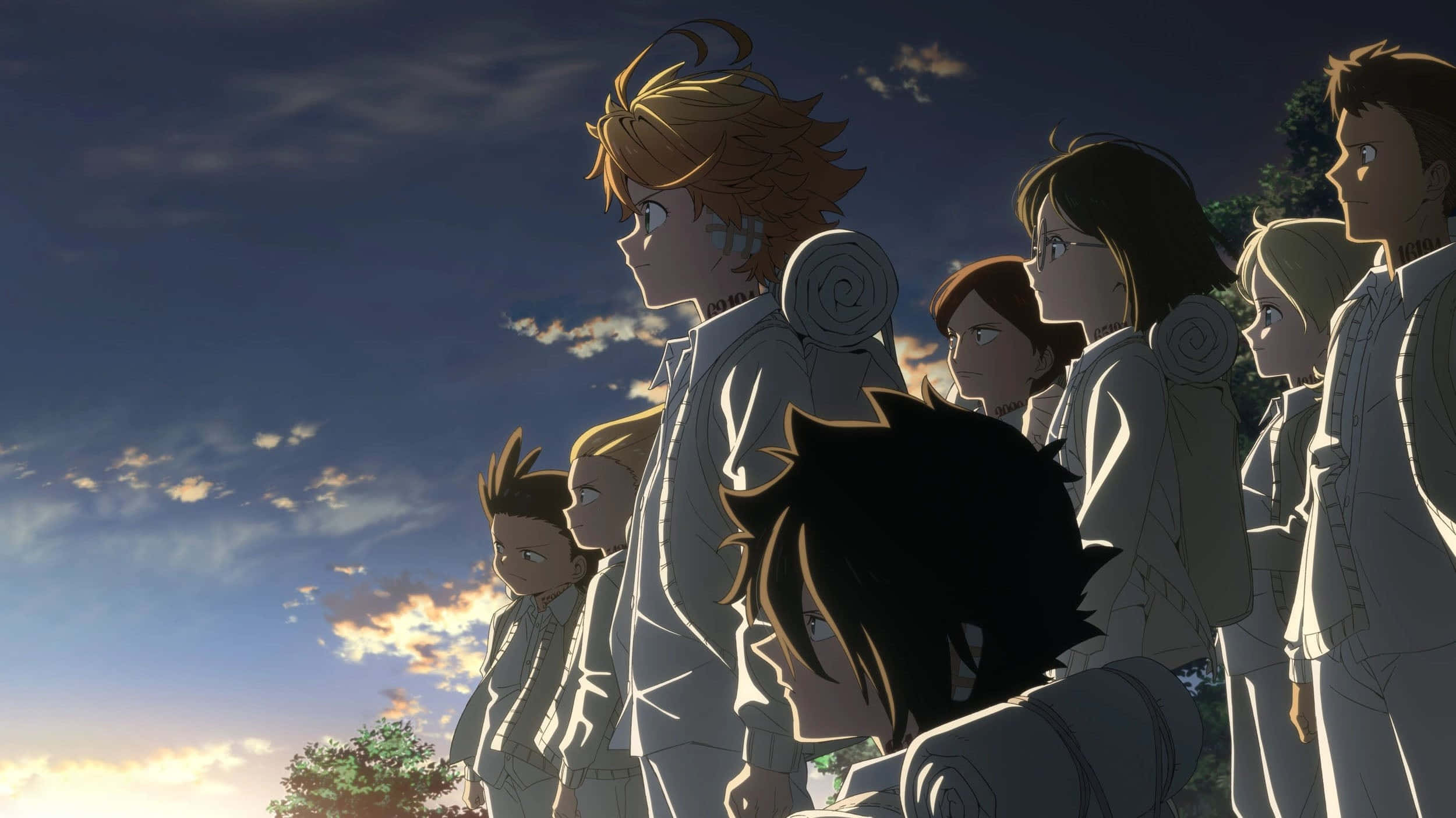 《約定的夢幻島》中的艾瑪 壁紙 — 一群身穿白色制服嘅動漫角色抬頭望向佈滿散雲同溫暖日落餘暉嘅黃昏天空。
