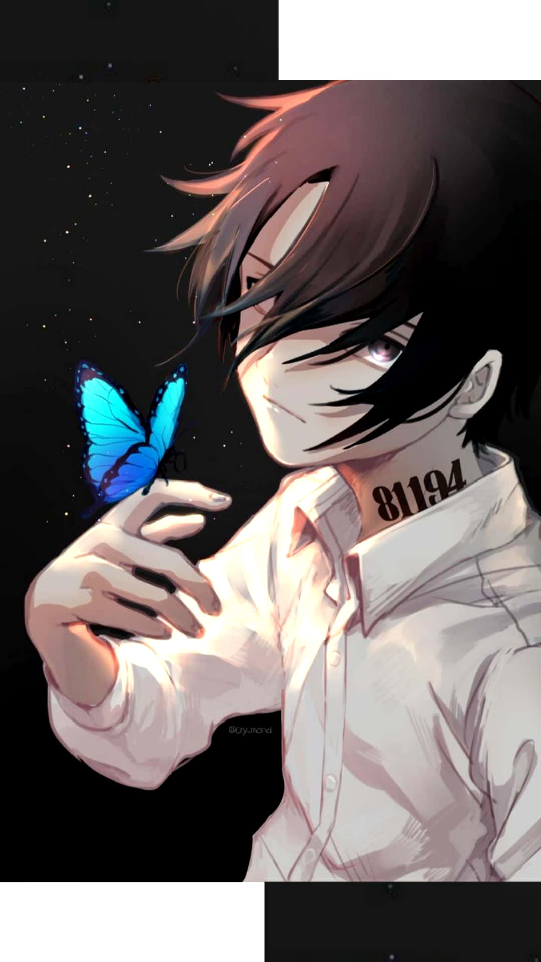 《約定的夢幻島》雷與藍色蝴蝶 壁紙 — 一個黑髮的年輕動漫男孩在繁星點點的夜空下輕輕捧著一隻發光的藍色蝴蝶。