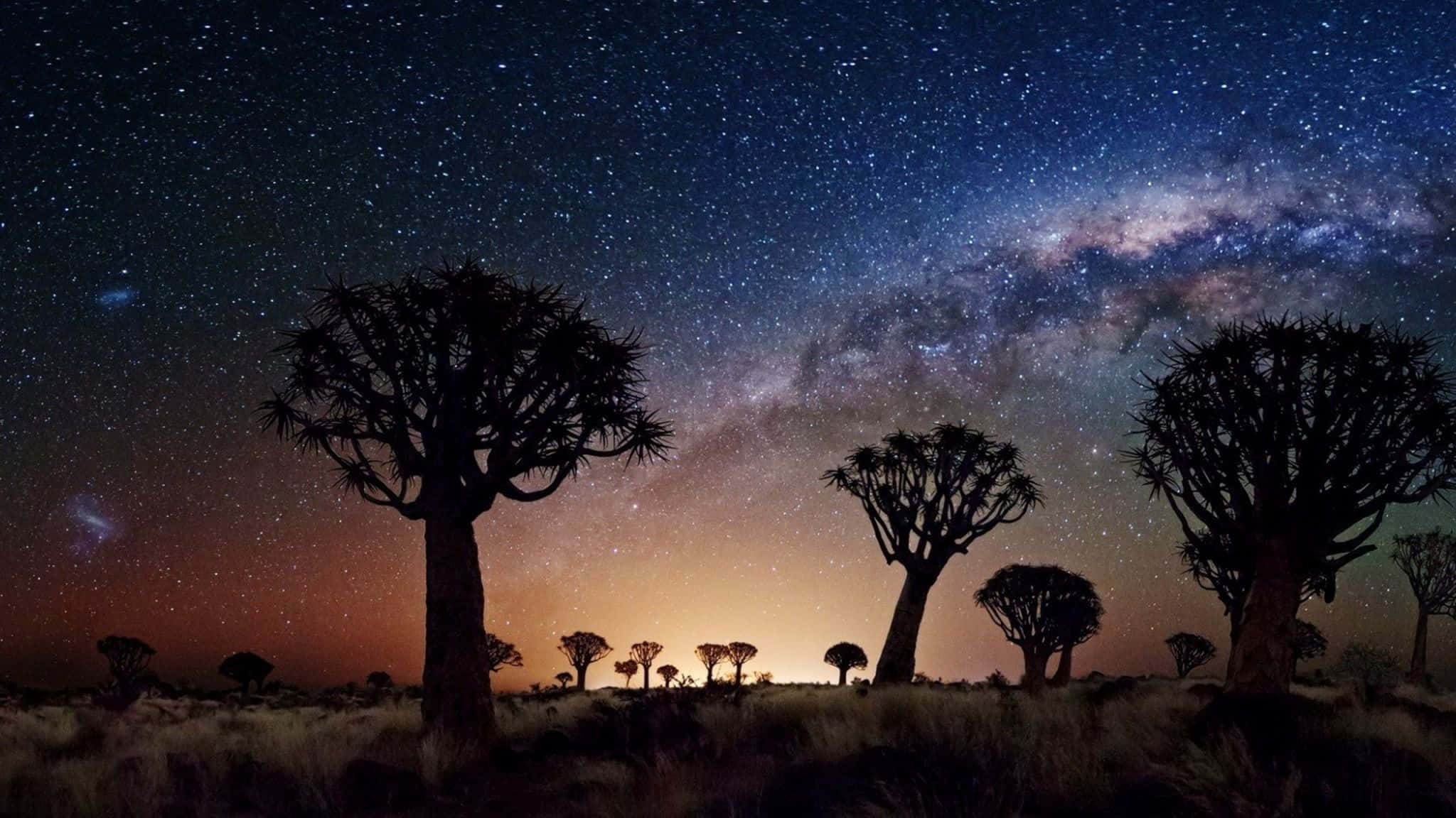 約書亞樹夜景圖 壁紙 — 剪影的箭袋樹在令人驚嘆的星空下高高聳立，銀河在天空中閃耀。
