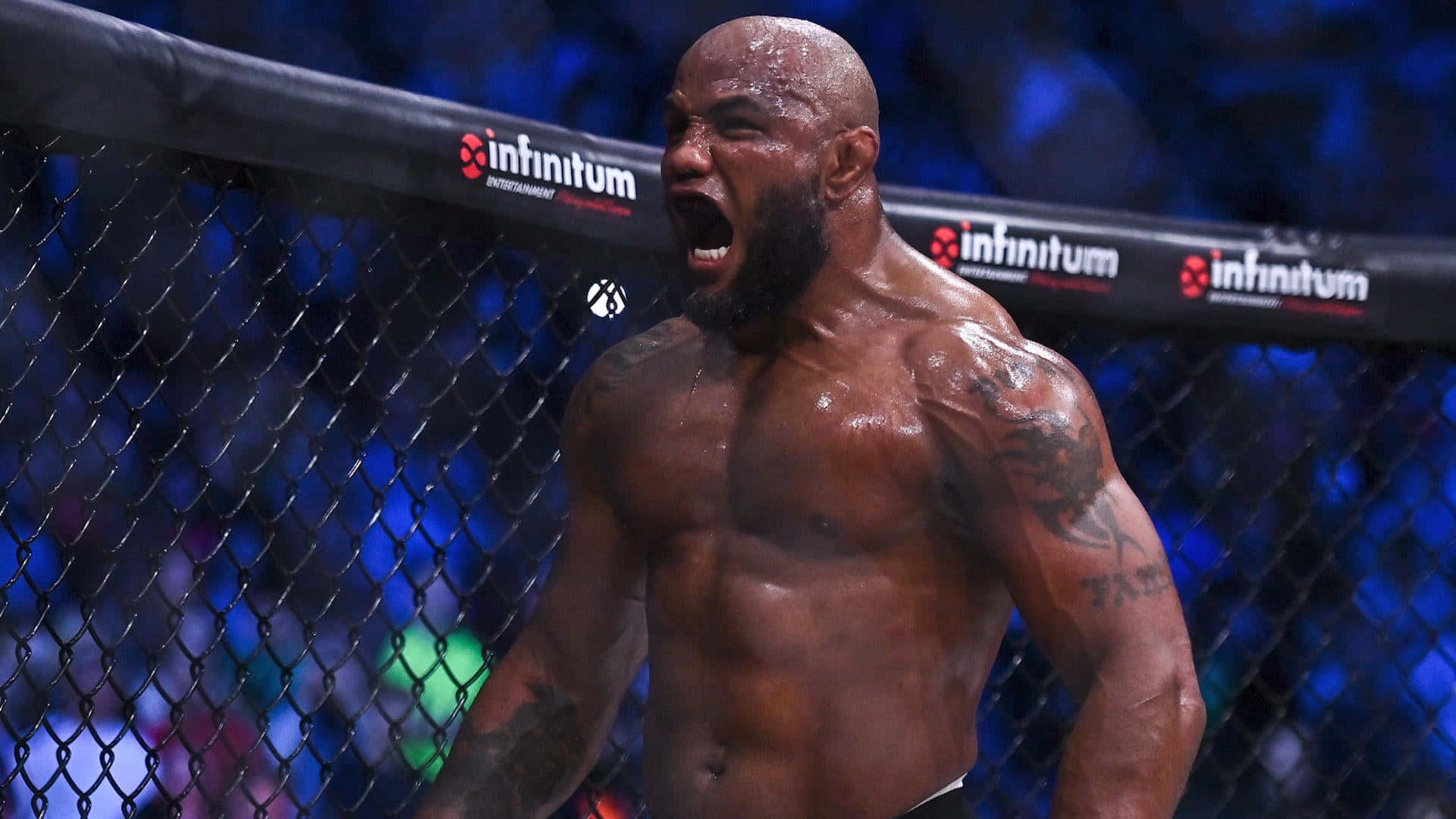 約爾·羅梅羅於 Bellator 285 慶祝勝利 壁紙 — 一位肌肉發達、光頭、有紋身的戰士在綜合格鬥比賽期間，在燈光明亮的八角籠內發出勝利的咆哮。