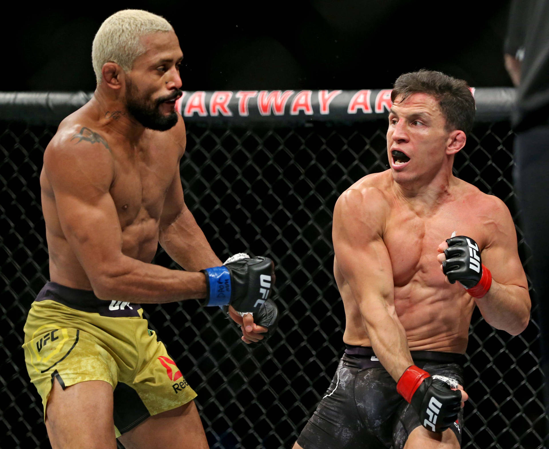 兩名戴著MMA手套的男性拳手在UFC比賽期間於八角籠內對峙。