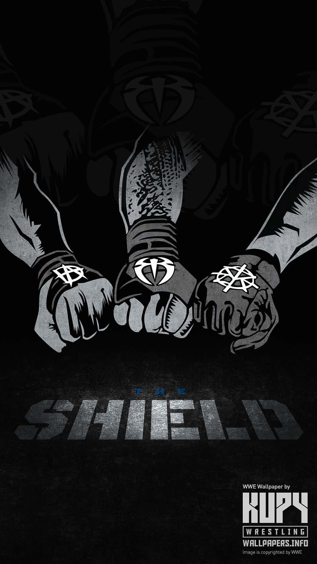 三位摔角手拳頭緊扣，展示手套上的The Shield標誌。
