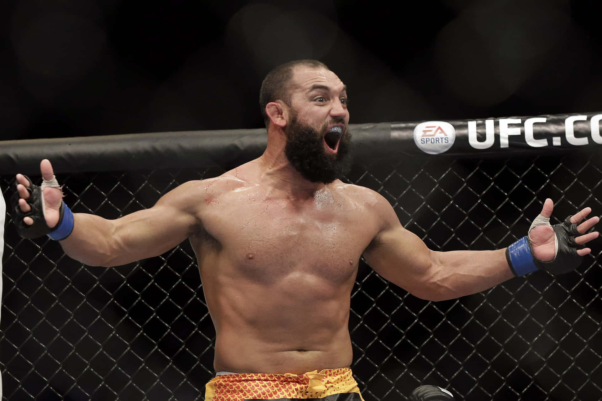 MMA拳手在八角籠中張開雙臂慶祝勝利。