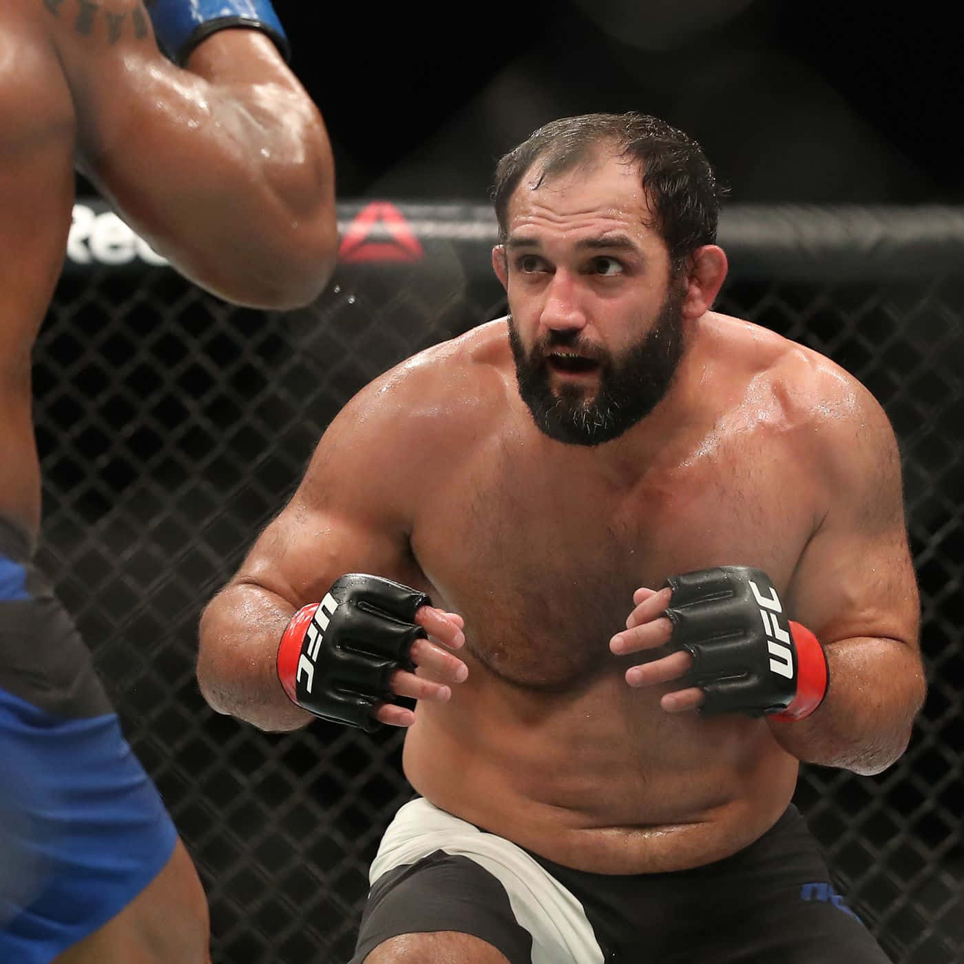 MMA拳手喺八角籠入面進行激烈比賽
