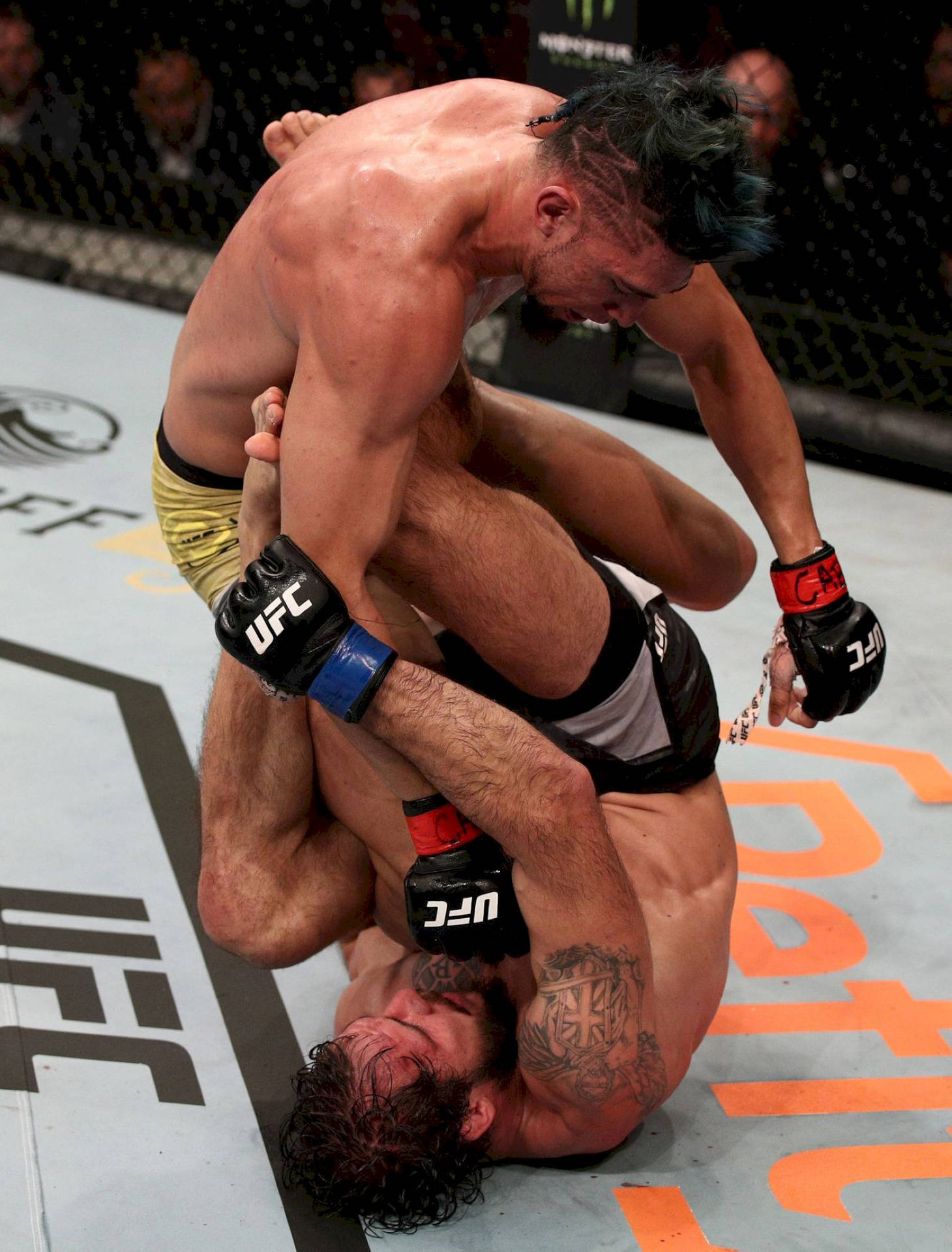兩名MMA拳手在UFC八角籠內陷入纏鬥。