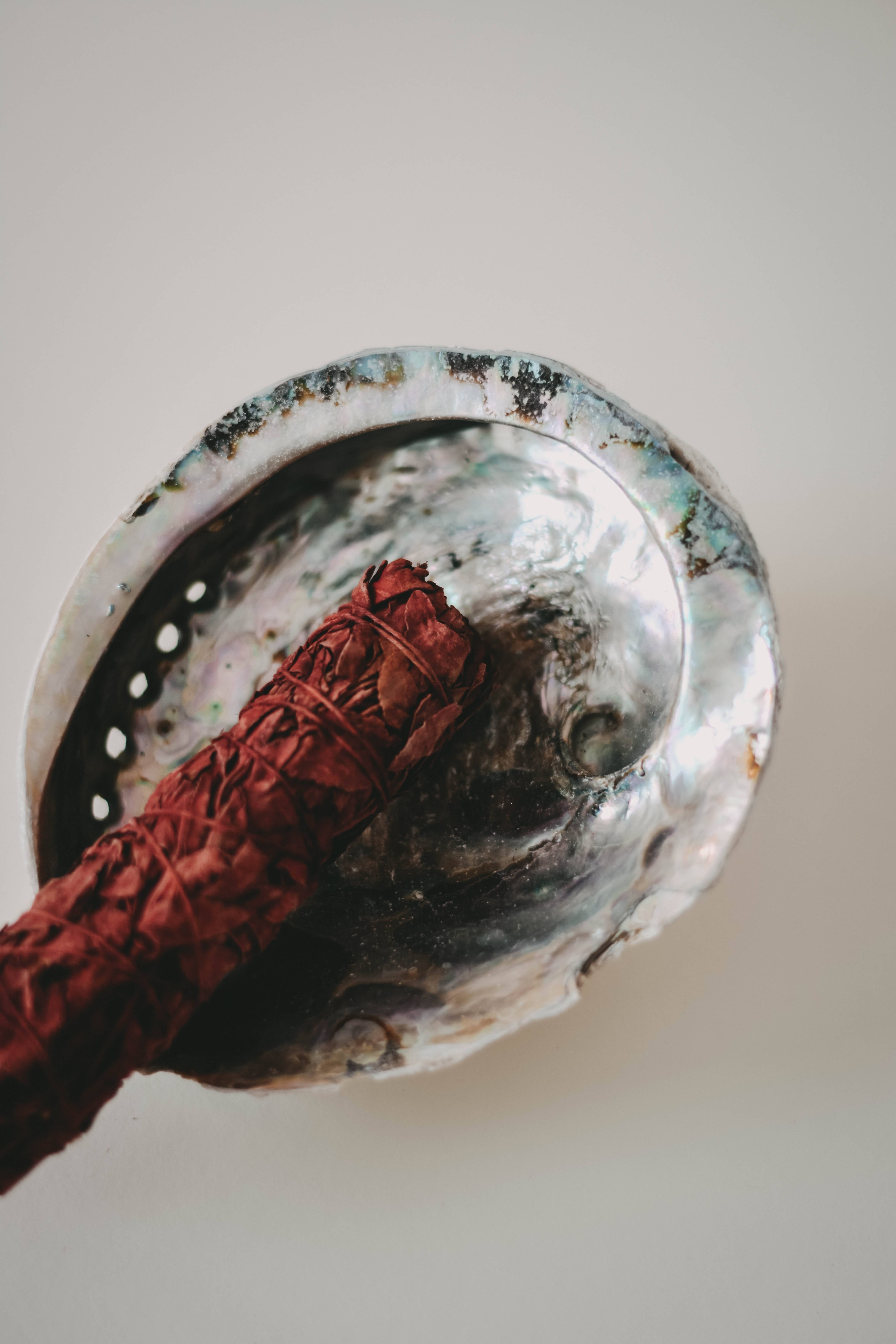紅 sage 置於鰈貝殼上 壁紙 — 一根紅色鼠尾草煙燻棒放在虹彩鮑魚殼中，背景為柔和的中性色。