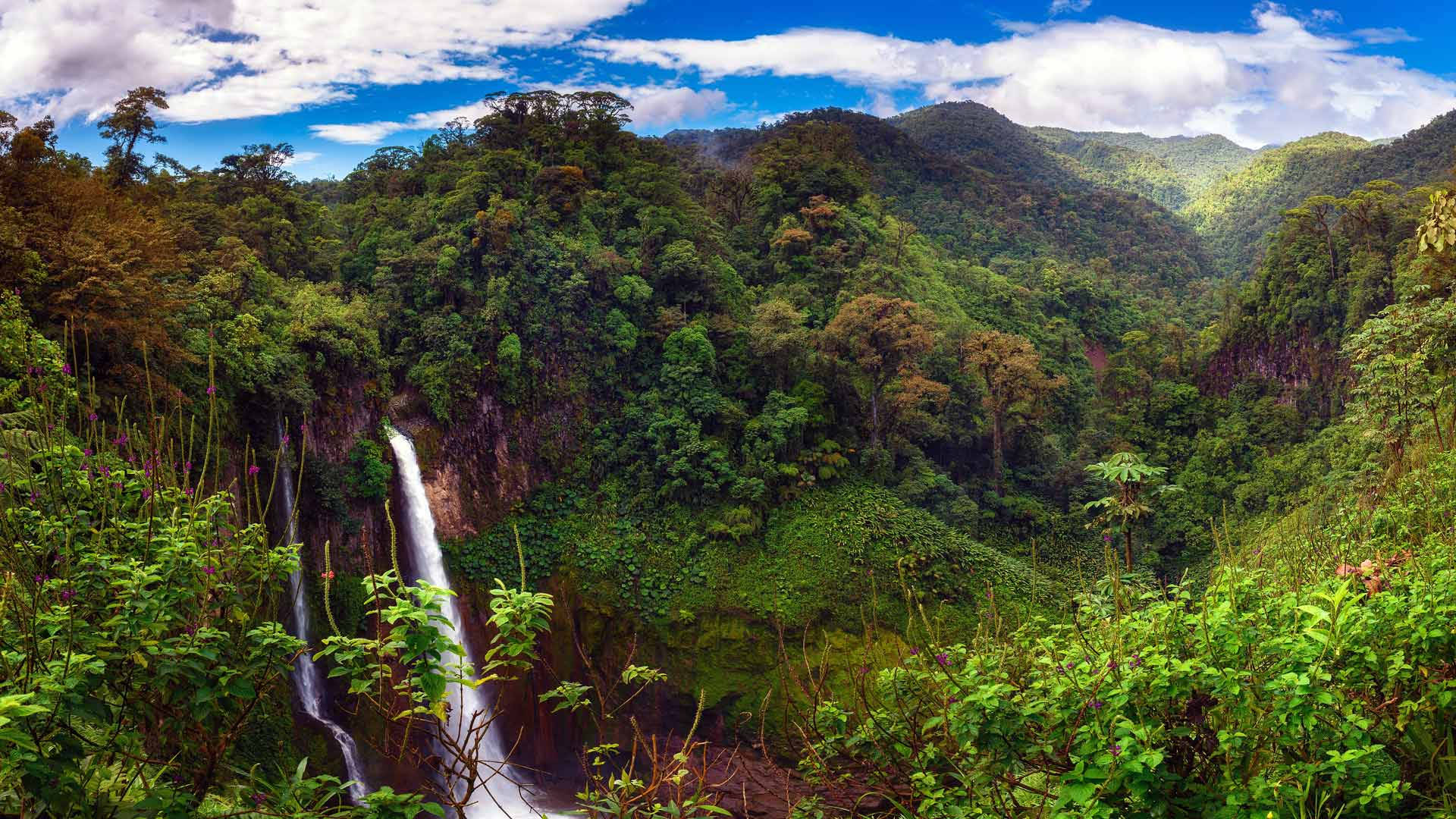 紅土雨林 壁紙 — 壯麗的瀑布穿過茂密的綠色叢林山脈，在明亮的藍天下有蓬鬆的白雲。