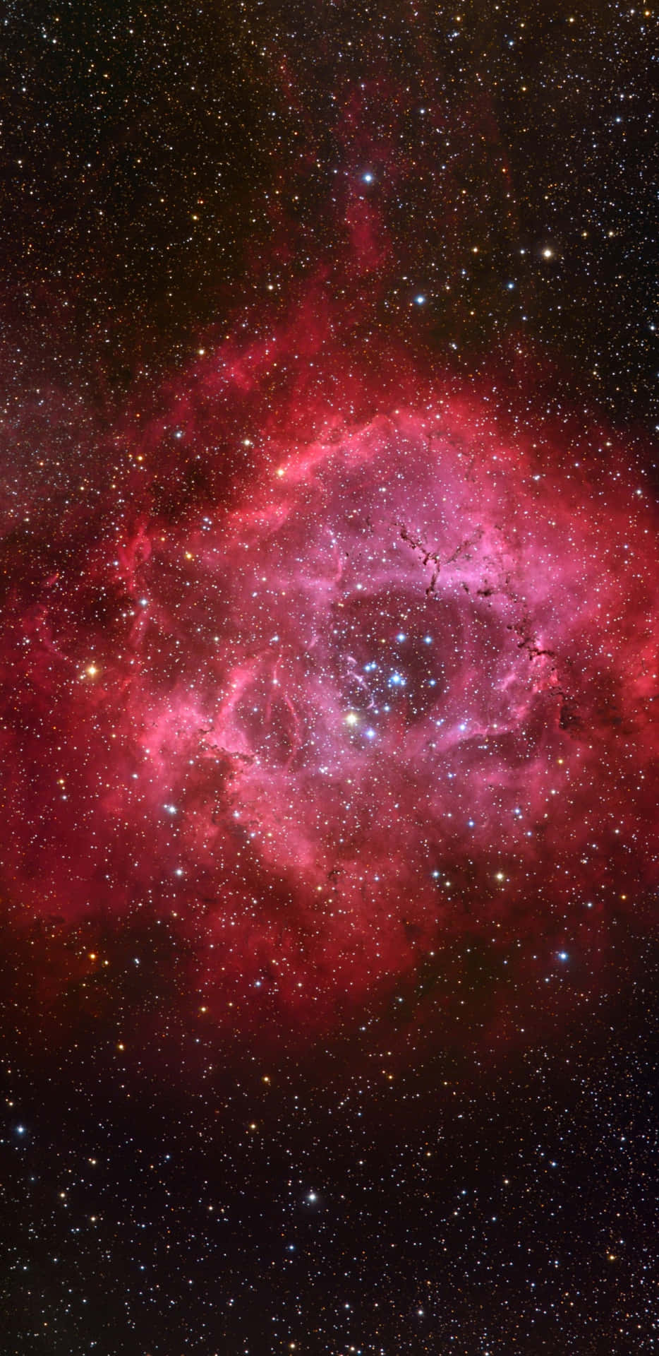 在深空中充滿星星的發光紅色和粉紅色星雲。