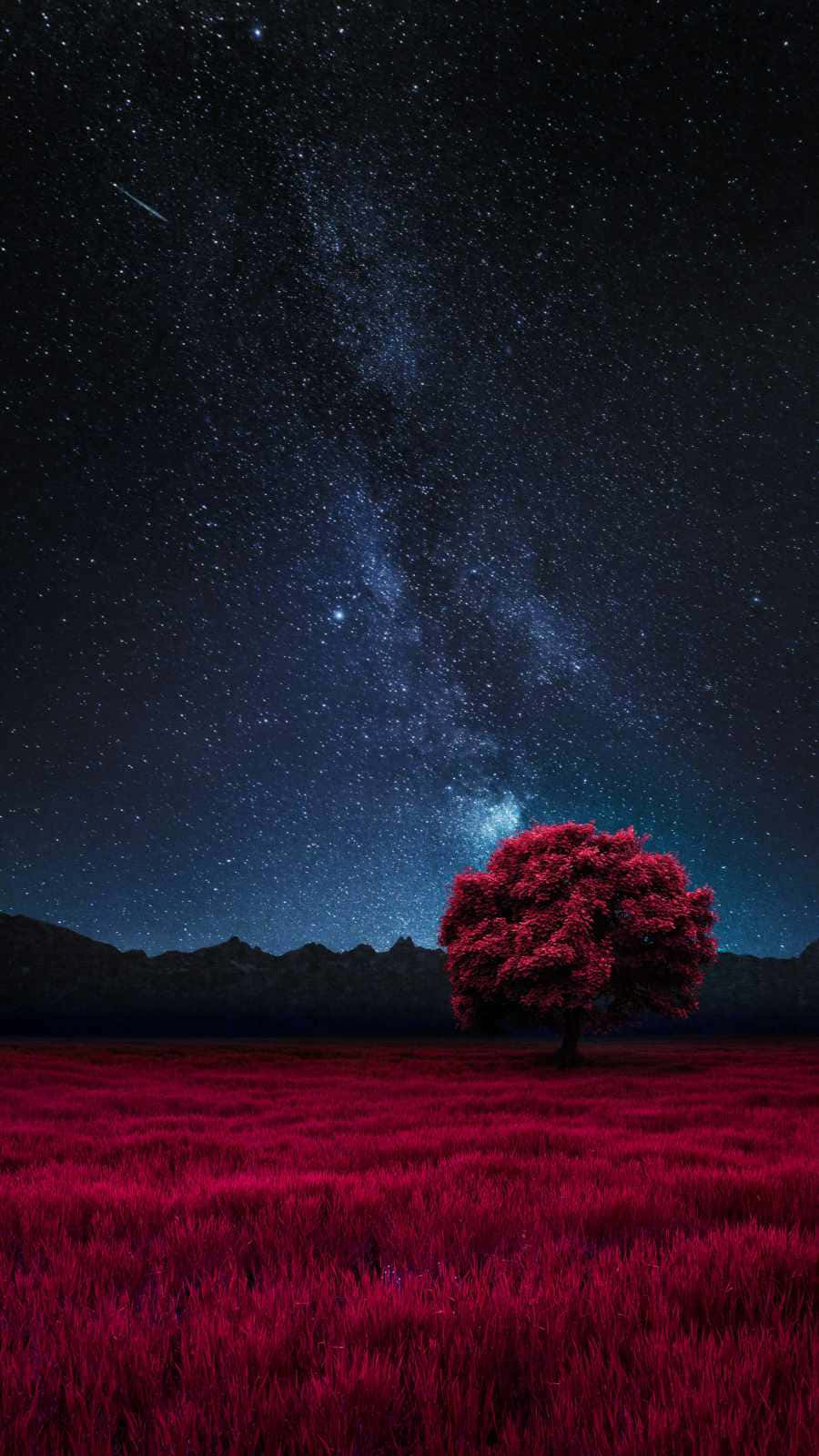 一棵紅色樹木在紅色田野上，星空夜空中有銀河。