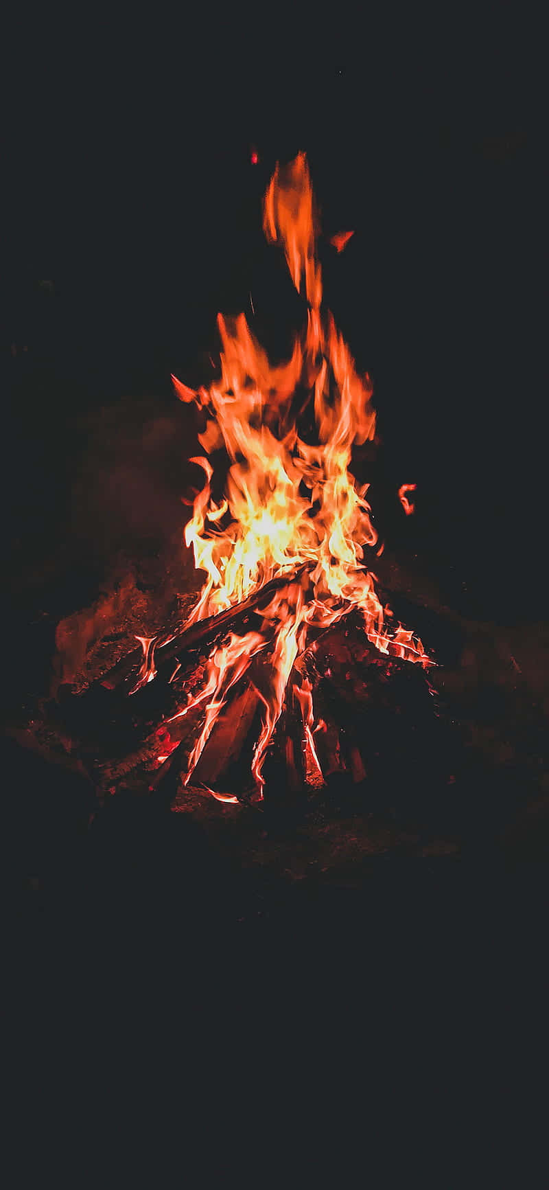 紅橙色熊熊營火 壁紙 — 一個熊熊燃燒的營火在漆黑的夜空下明亮地燃燒，向周圍的木頭投射出溫暖的橙色和黃色光芒。