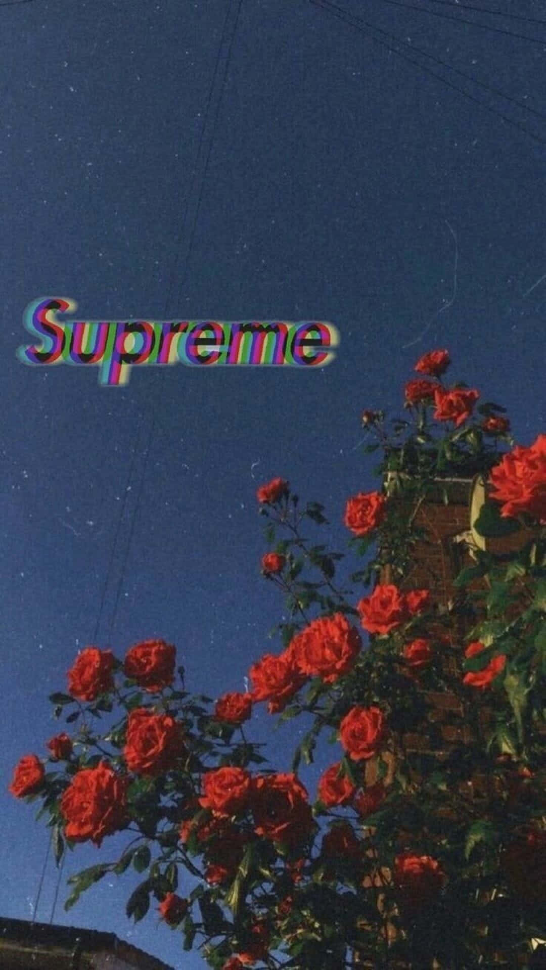 紅玫瑰在星空夜空中，帶有故障效果的Supreme標誌。