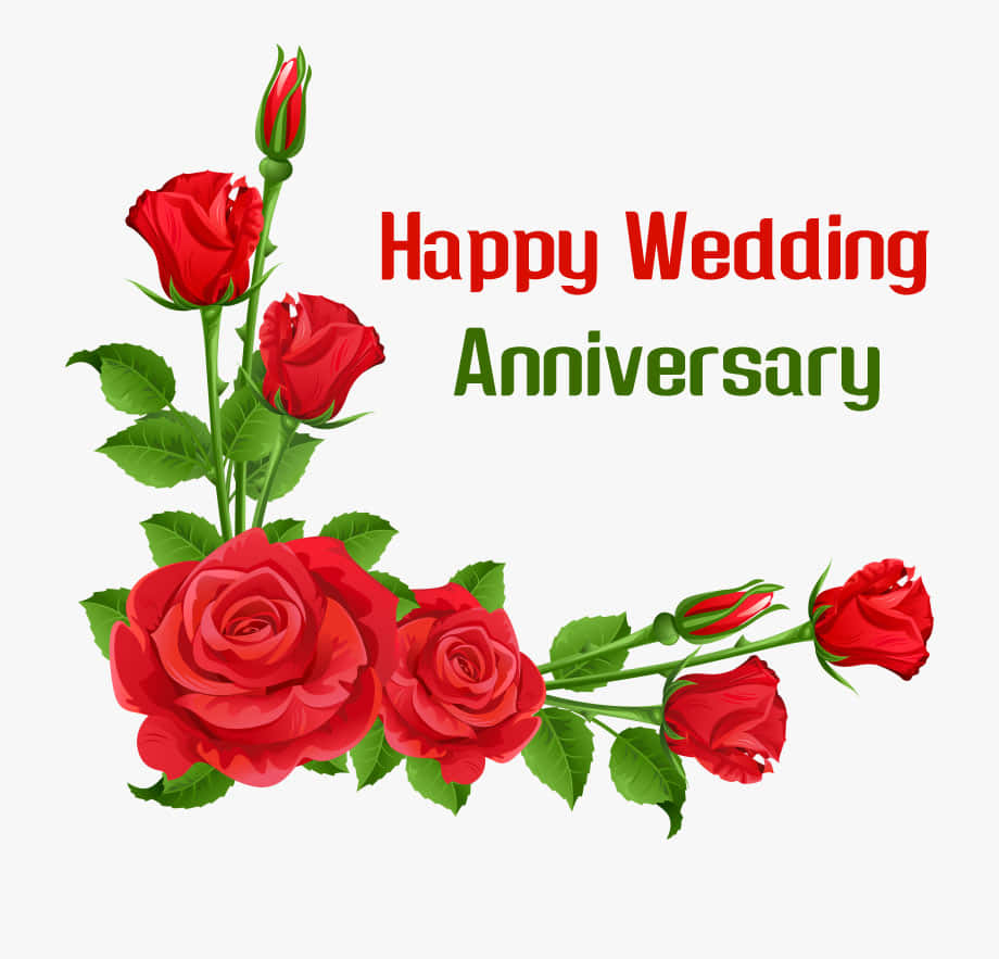 紅玫瑰和綠葉框住「Happy Wedding Anniversary」文字。