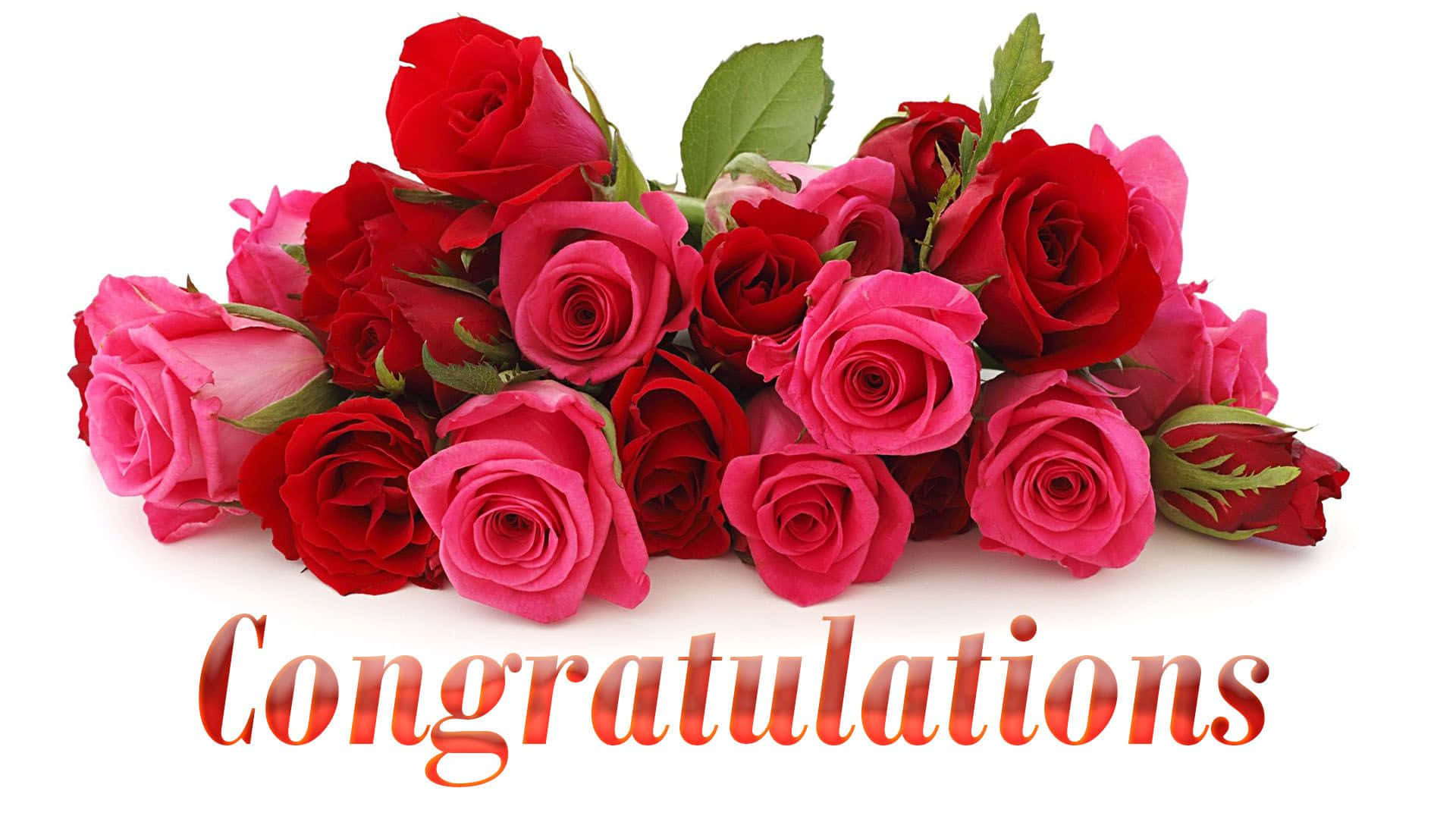 一束紅粉玫瑰，帶有「Congratulations」文字。