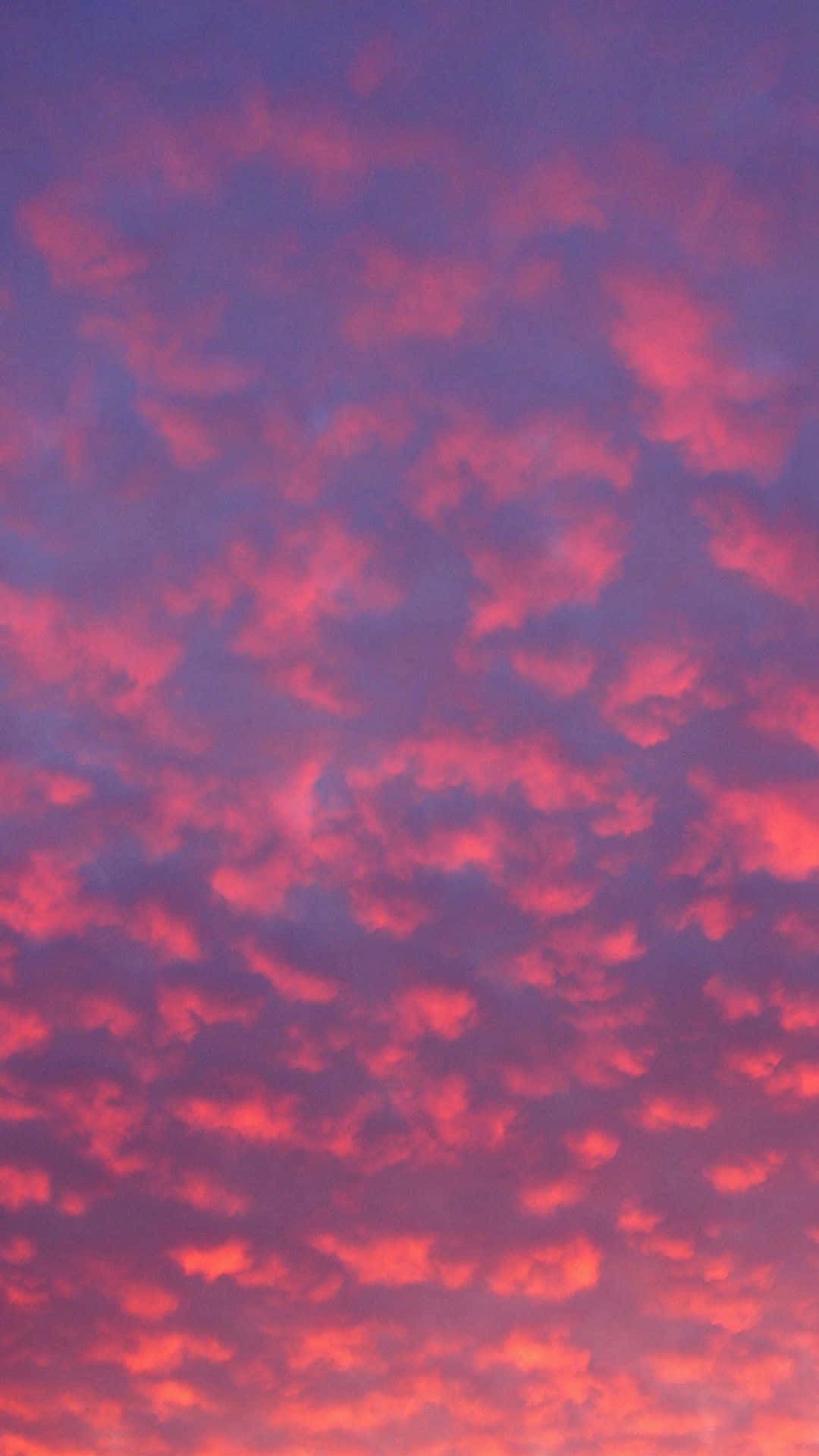 紅紫背景中的夕陽天空 壁紙 — 黃昏時分，天空充滿戲劇性的紋理雲朵，閃耀著火紅和深紫色。