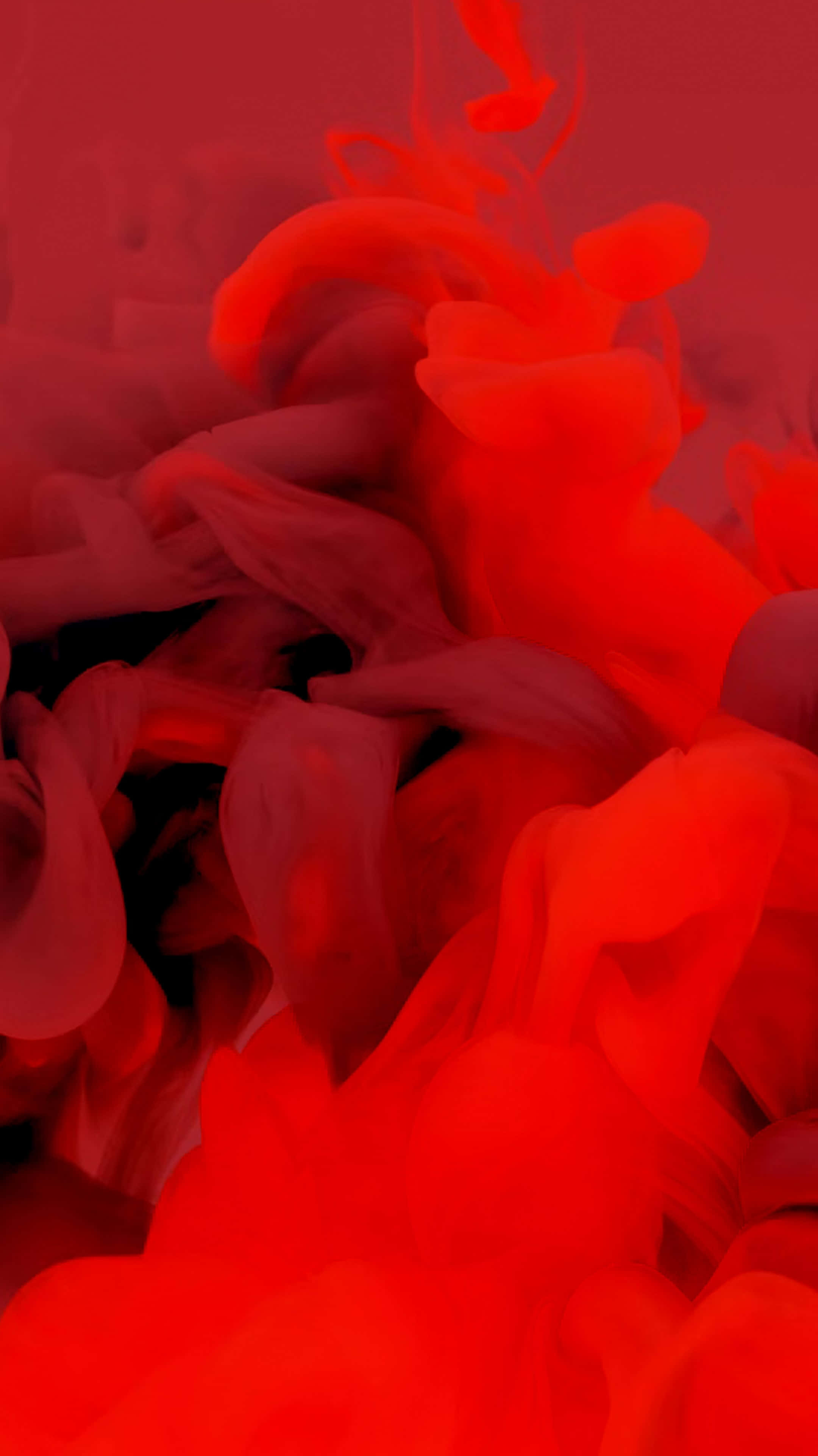 紅色 2160 x 3840 背景 壁紙