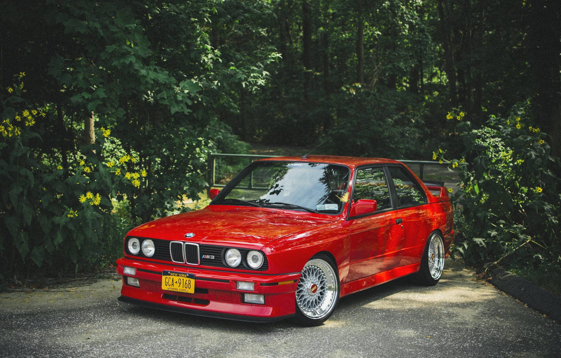 紅色BMW E30 M3停泊在夏日森林的碎石路上，伴有黃色花朵。