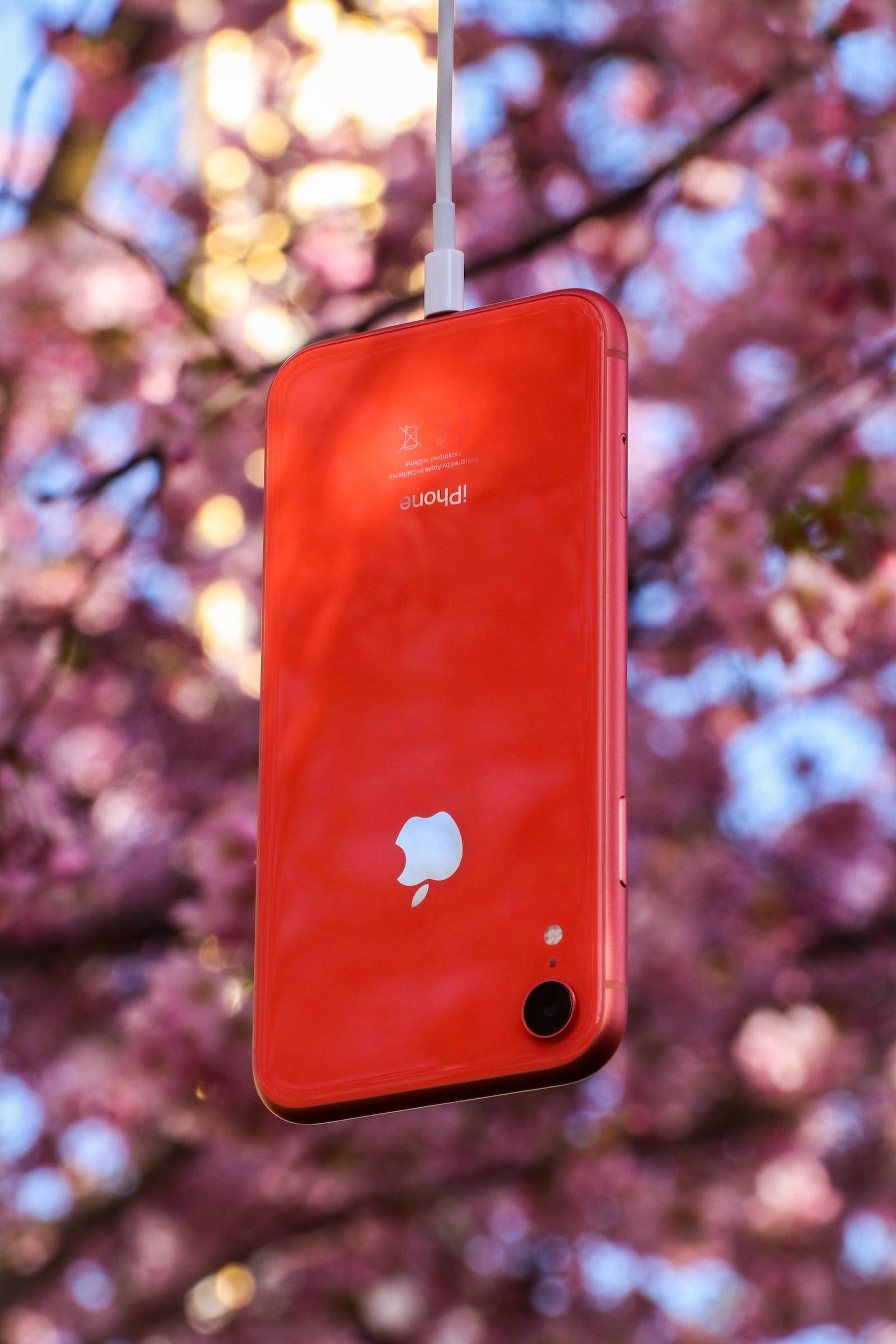 紅色 iPhone 自然風景 壁紙 — 一部鮮紅色的iPhone懸掛在充電線上，背景是柔和的粉紅櫻花和斑駁的陽光。