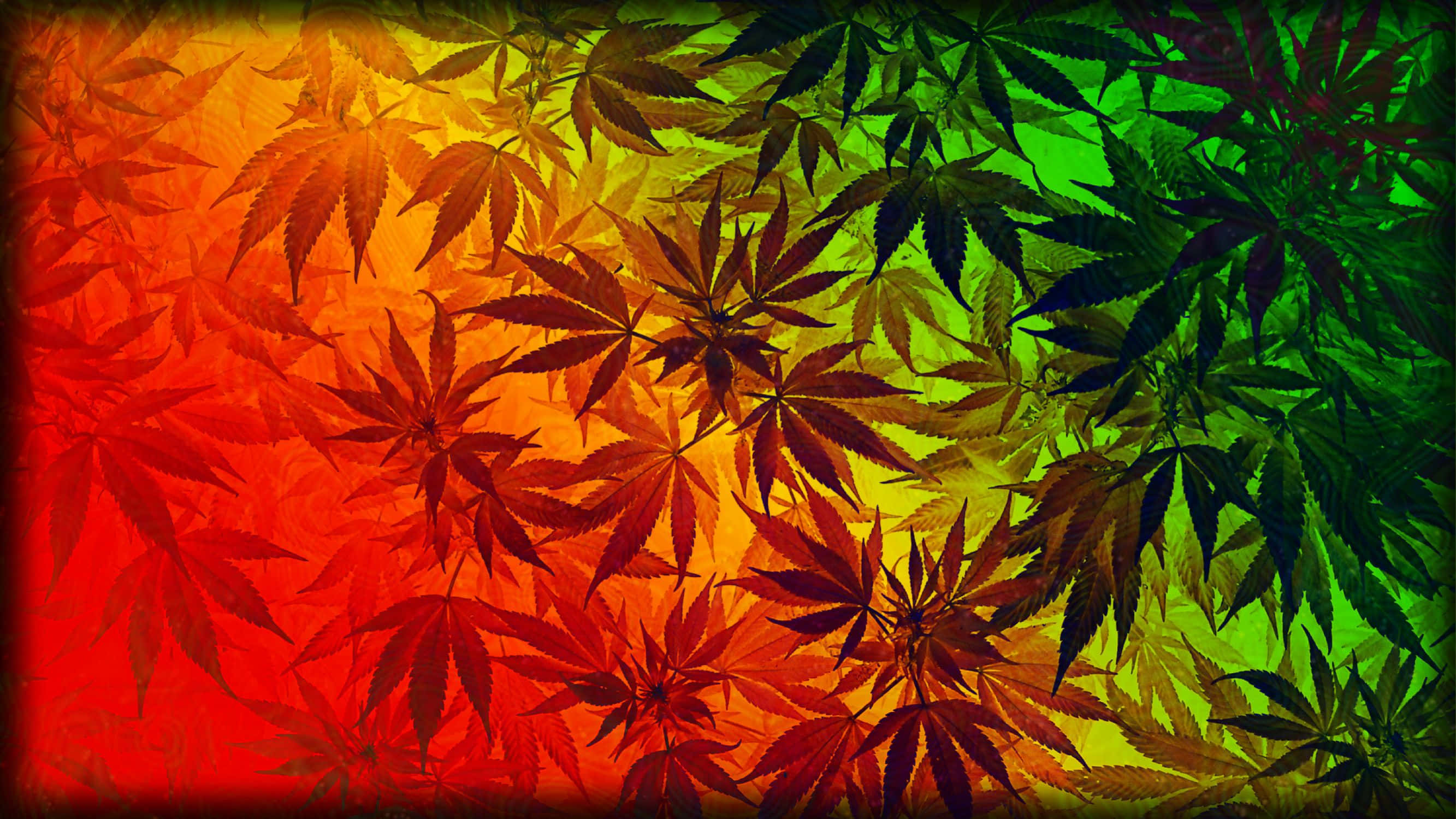 420 桌布 壁紙 — 紅色、橙色、黃色、綠色和深綠色的大麻葉以迷幻圖案重疊，形成鮮豔的漸變效果。