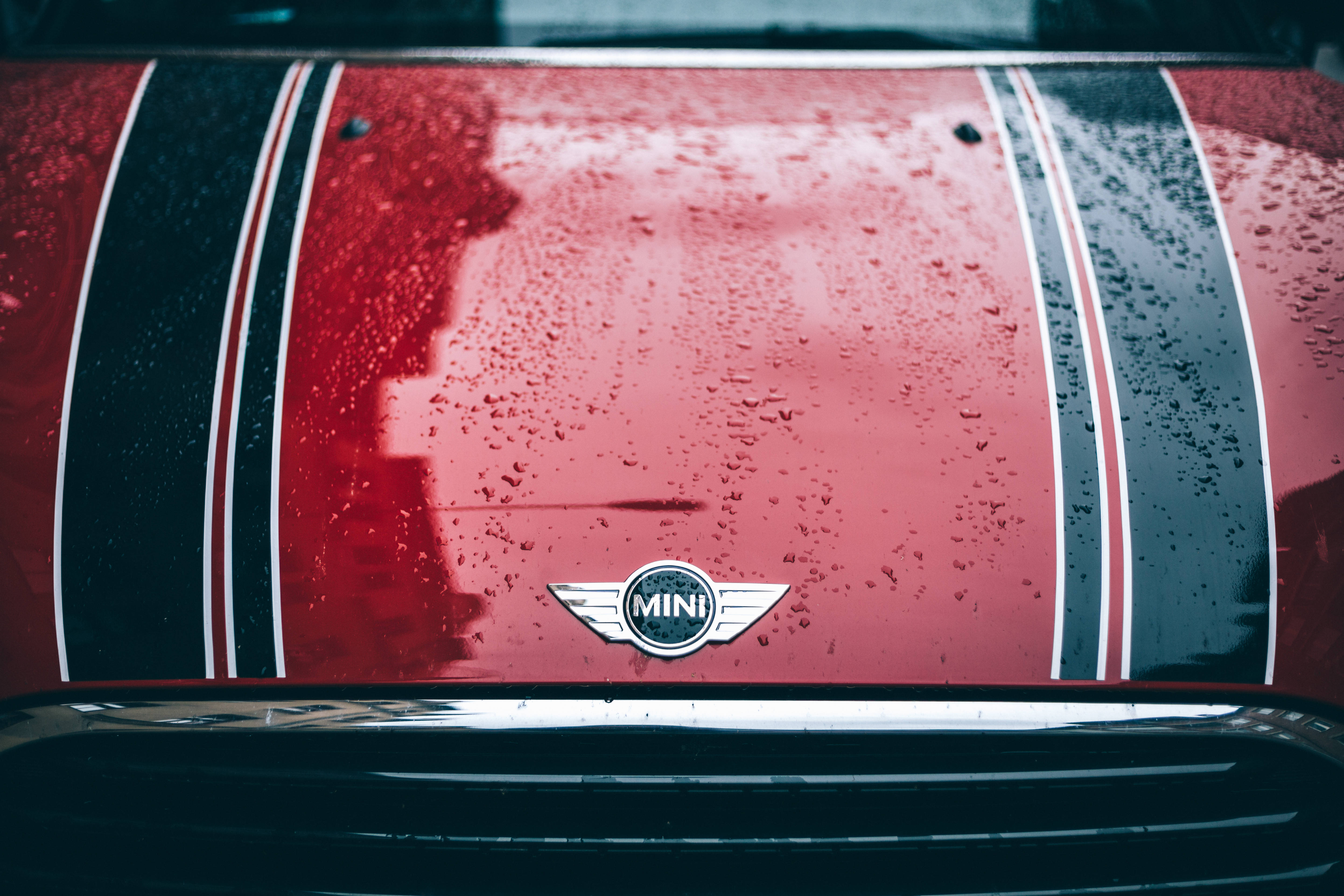 紅色Mini Cooper車身上的Mini Cooper標誌 壁紙 — 紅色MINI汽車引擎蓋特寫，帶有黑白賽車條紋，覆蓋著雨滴。