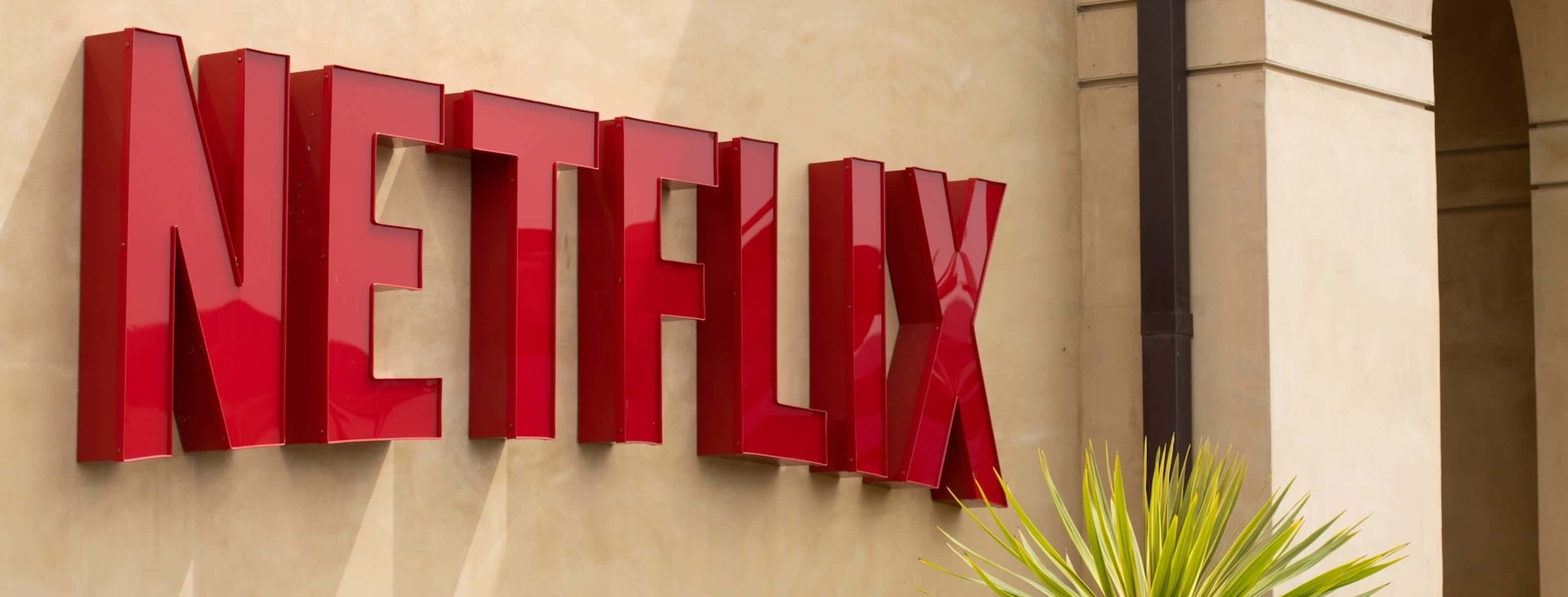 米色建築上的紅色 Netflix 標誌與棕櫚葉