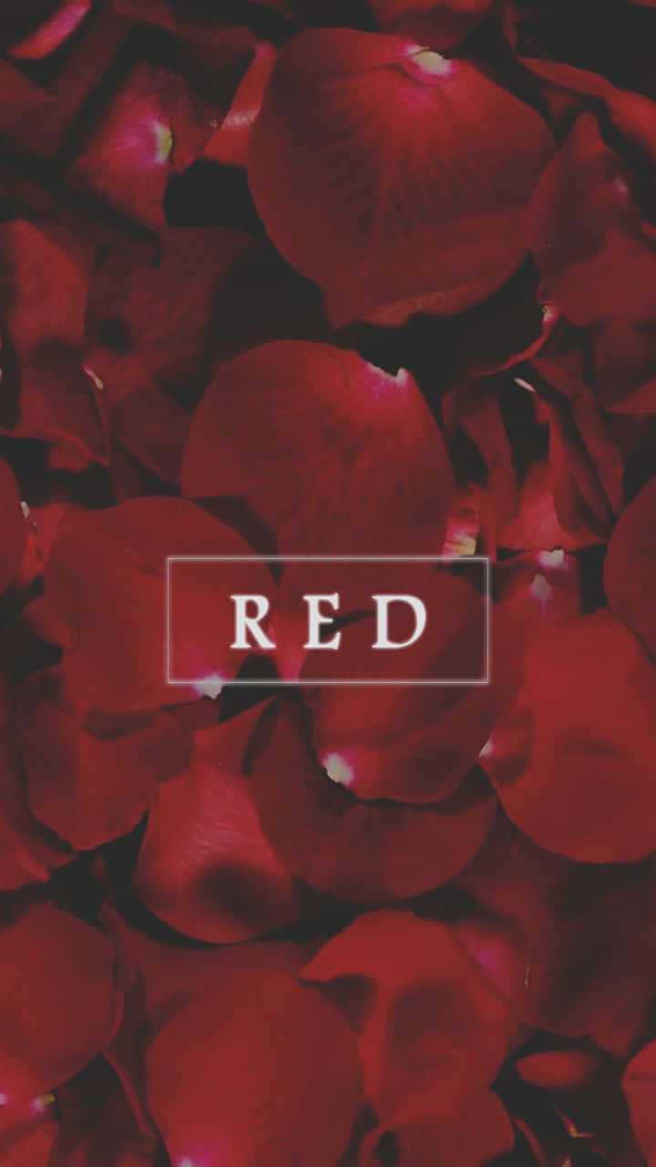 紅色玫瑰花瓣特寫，白色框中寫著RED。