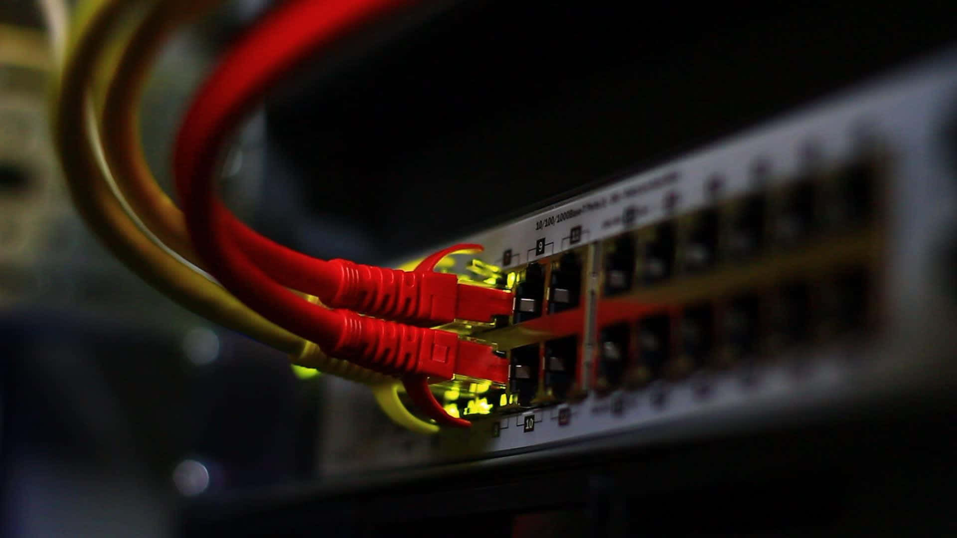 Ethernet 桌布 壁紙 — 紅色和黃色以太網電纜插入帶有發光端口的網絡交換機的特寫。