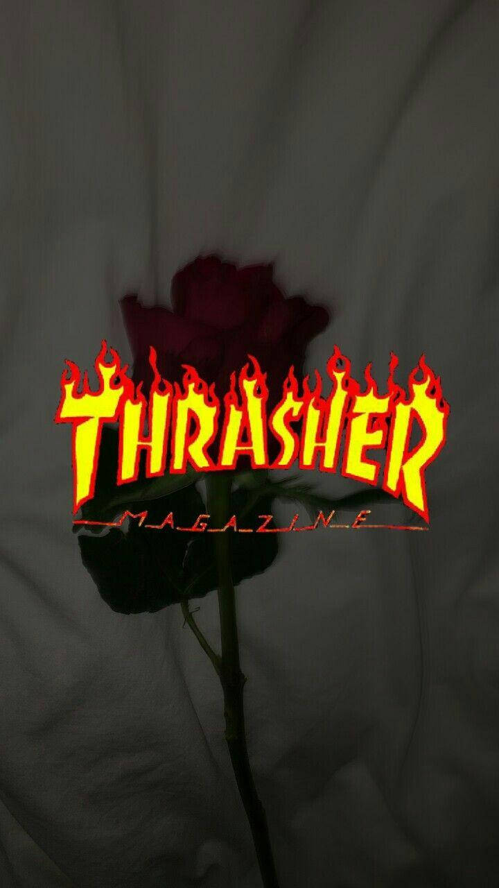 紅色壞女孩Thrasher 壁紙 — 一朵深紅玫瑰，下方有熾熱的Thrasher Magazine標誌在陰影布料背景上發光。