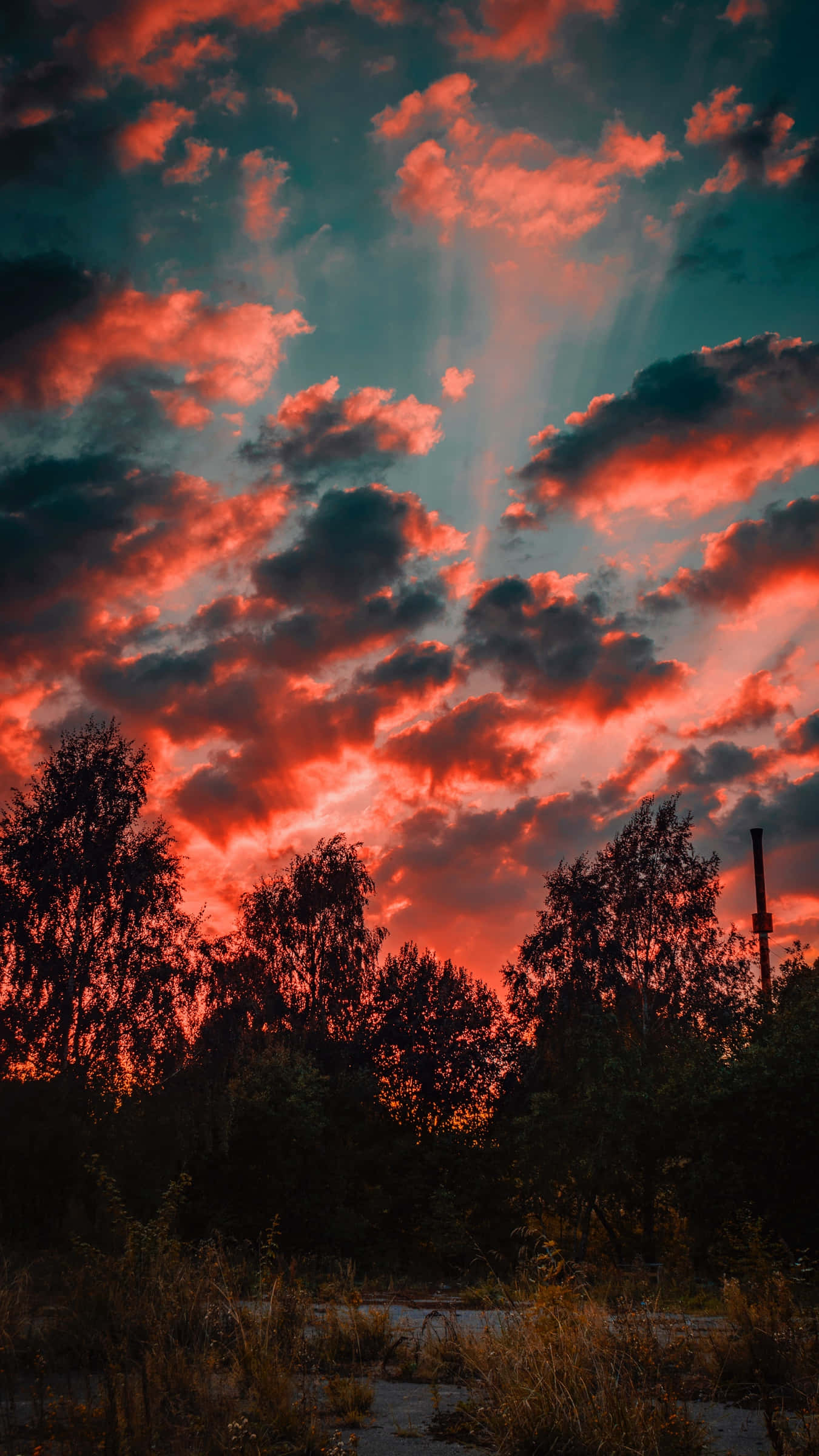 紅色夕照天空與雲朵 壁紙 — 戲劇性的日落，火紅的雲彩和陽光穿透黑暗的樹木剪影。