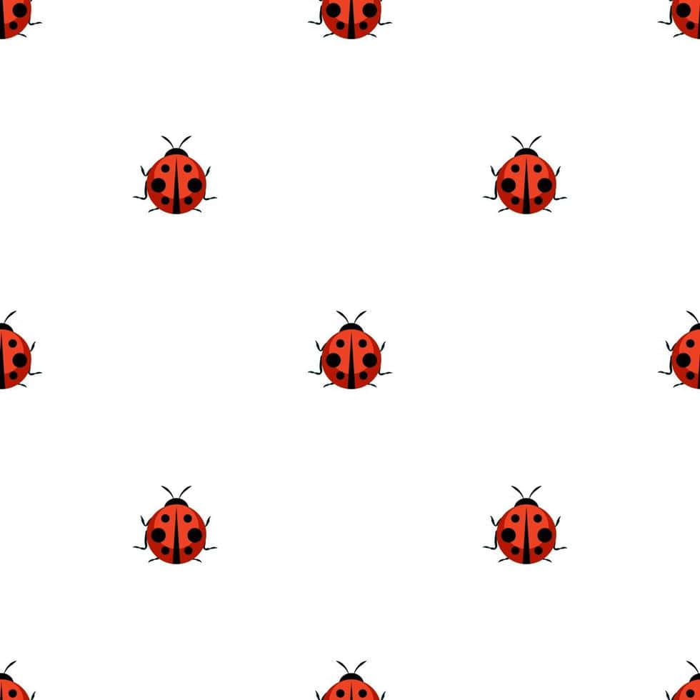 ladybug 桌布 壁紙 — 紅色帶黑色斑點的瓢蟲在白色背景上以整潔圖案重複。