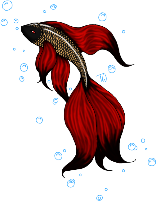 紅色斗魚藝術圖 壁紙 — 一條鮮紅色的鬥魚，魚鰭飄逸，在漆黑的背景下，於發光的藍色氣泡中優雅地游動。