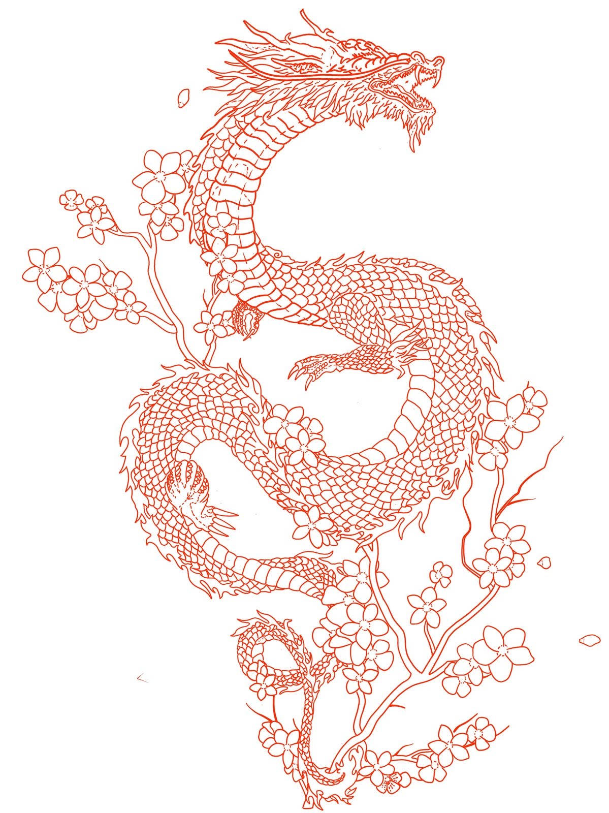紅色日本龍紋身繪畫 壁紙 — 一條優雅的紅色線條龍纏繞在櫻花枝上，呈現傳統東亞風格。
