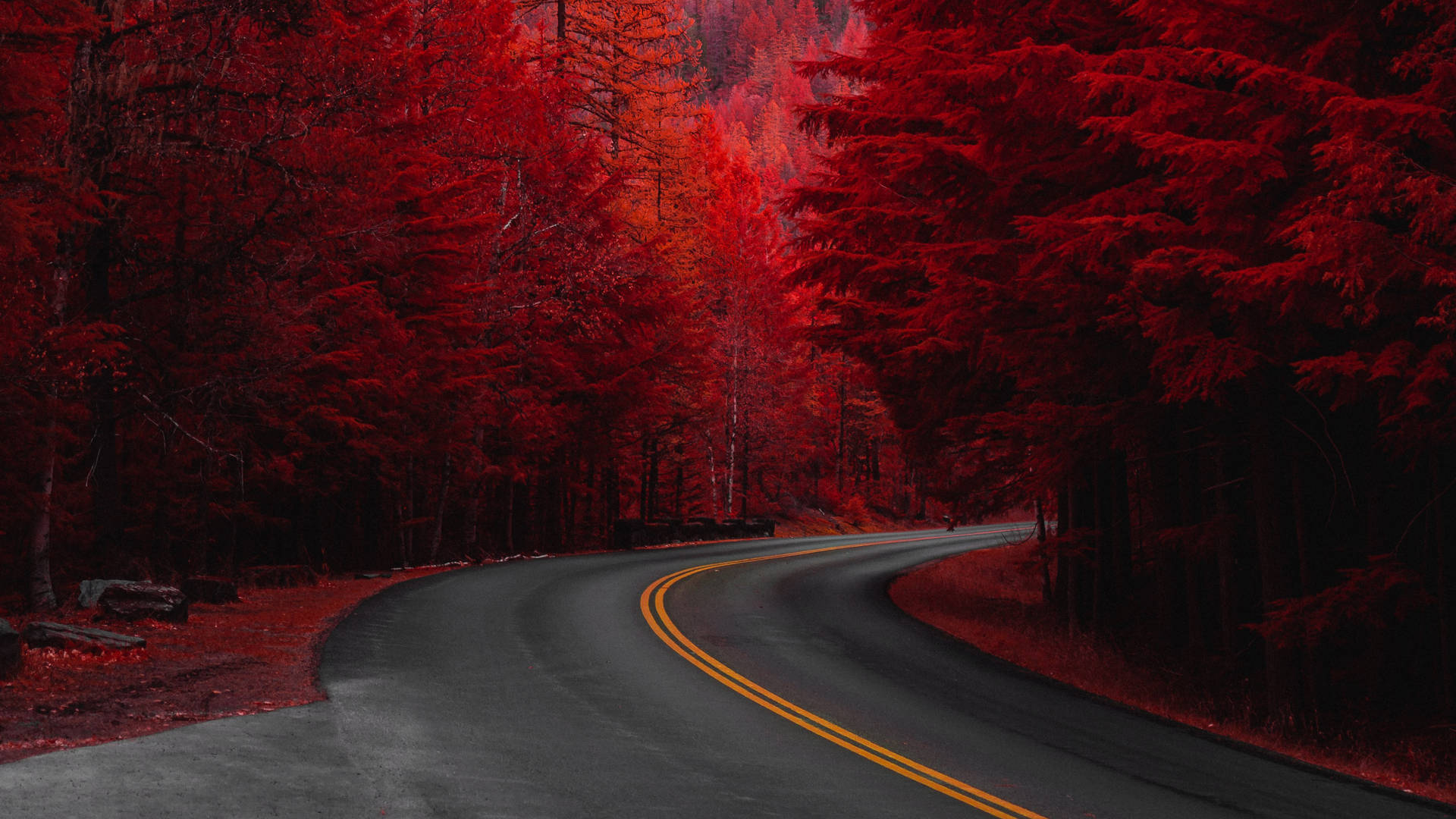 紅色松樹道路 4K UHD 壁紙 — 一條蜿蜒的瀝青路在昏暗的天空下穿過沐浴在強烈紅色調中的森林。