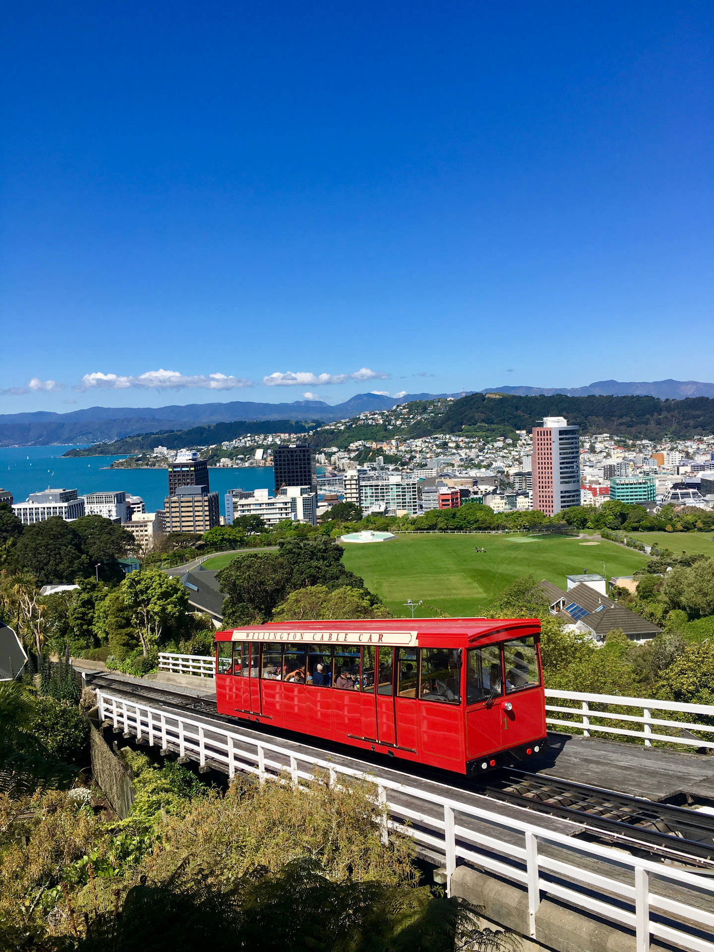 紅色纜車在高架軌道上，城市與海洋景觀