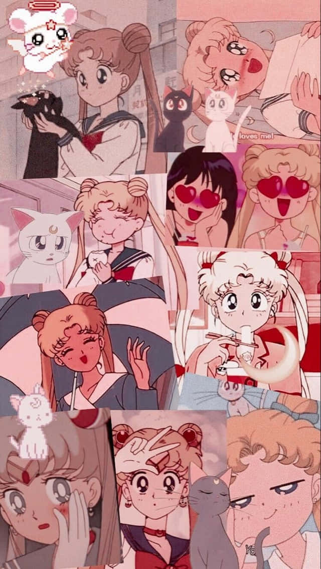 美少女戰士動畫拼貼畫，以粉紅色調呈現貓咪和心形圖案。