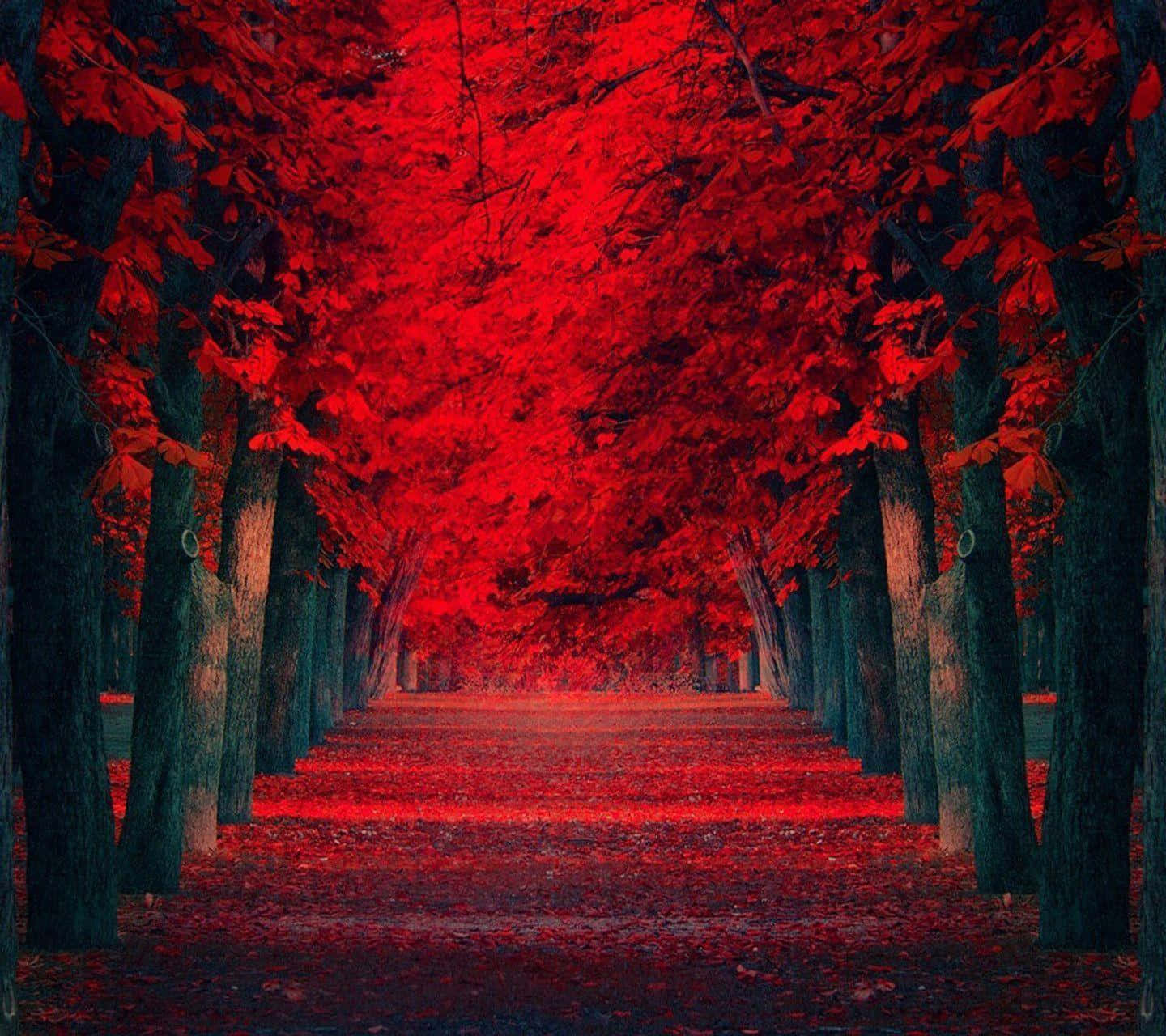 一條鮮紅色的森林小徑，兩旁樹木和落葉在戲劇性的燈光下。