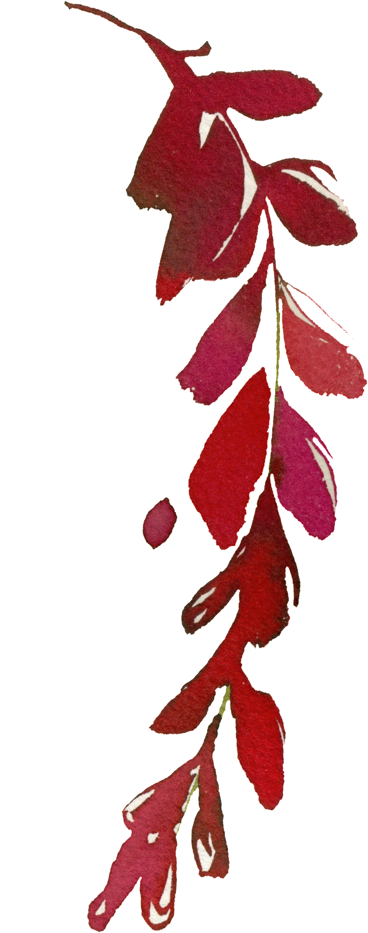 紅色秋葉插畫 壁紙 — 深紅色水彩葉片垂直傾瀉，帶有白色高光，襯以純黑背景。