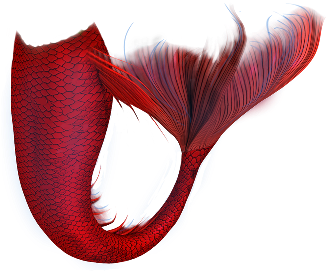 紅色美人魚尾巴藝術作品.PNG 壁紙