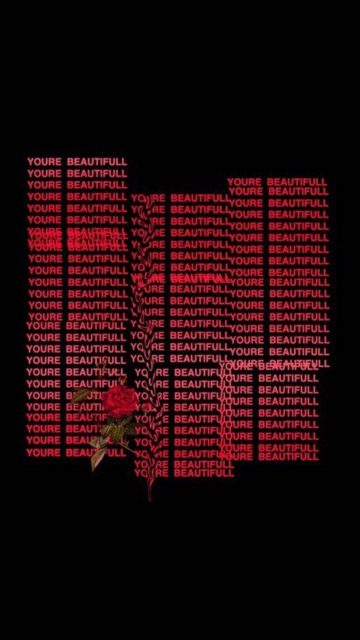 一朵帶綠葉的紅玫瑰，從重複的紅色文字「YOU'RE BEAUTIFULL」區域中長出，背景為黑色。