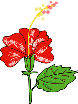 紅色芙蓉向量插圖