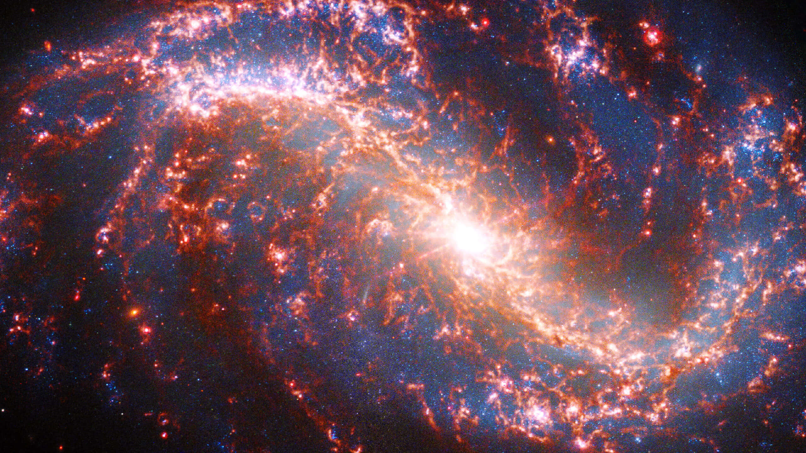 紅色螺旋星系天文圖像 壁紙 — 一個充滿活力的螺旋星系，在深邃的黑色虛空中旋轉著火橙色和電藍色的宇宙塵埃。