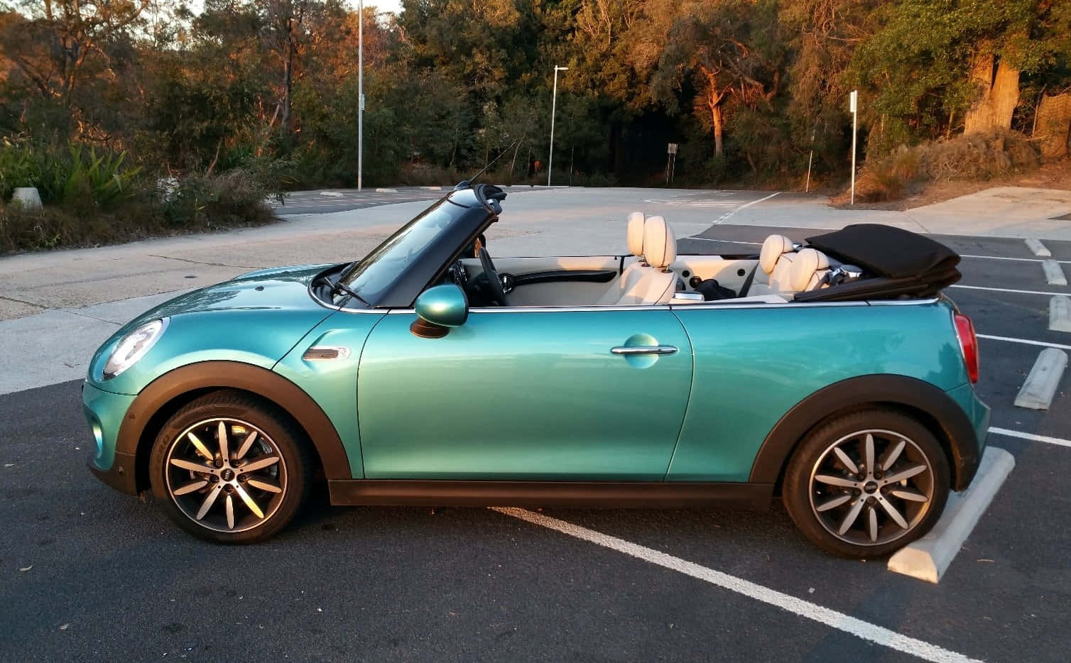 紅色迷你Cooper敞篷車 開放公路 壁紙 — 一輛綠松色MINI Cooper開篷車停泊在陽光明媚的停車場，背景有樹木。