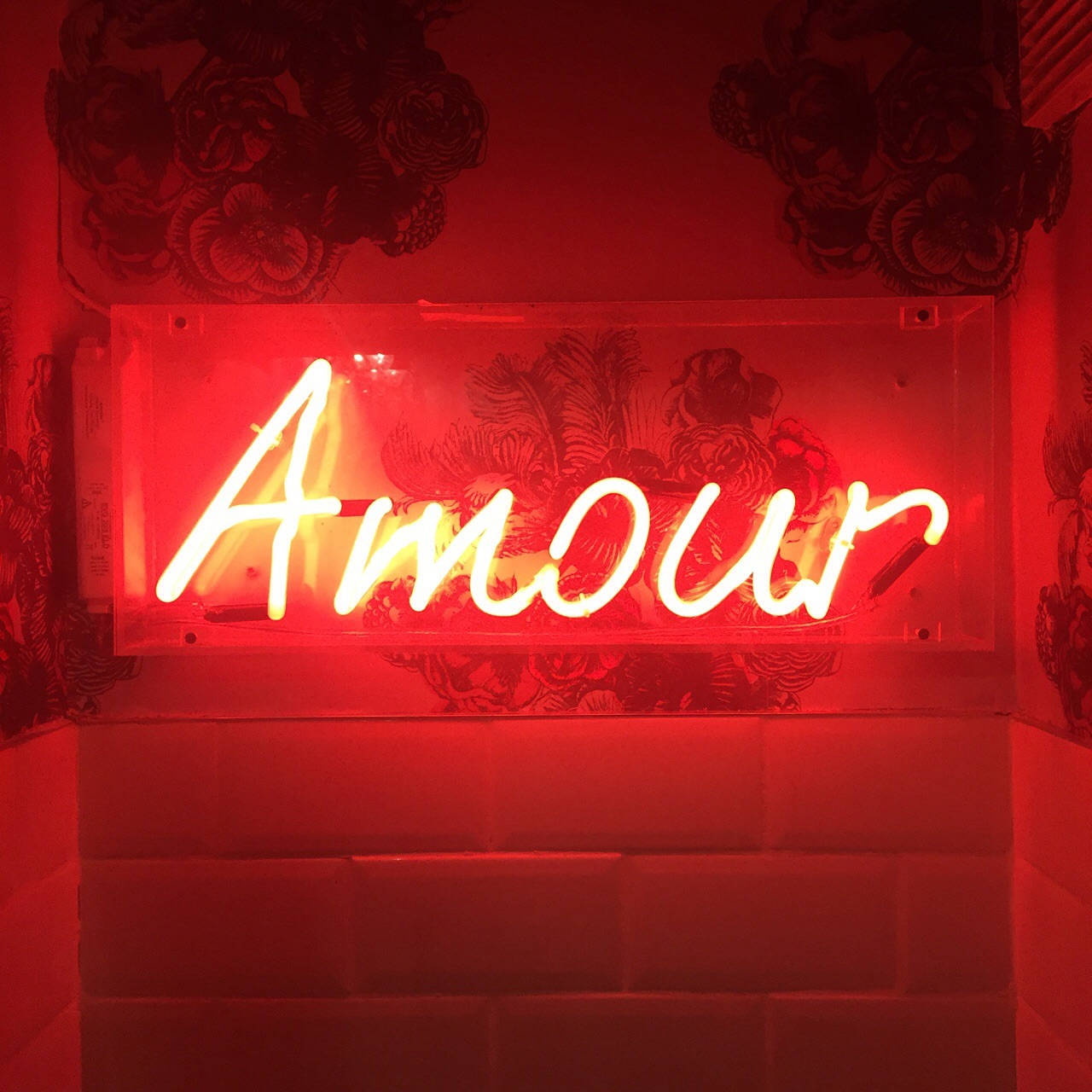 紅色霓虹風「愛」 壁紙 — 一個發光的紅色霓虹燈牌，拼出「Amour」，在舒適的角落裡將溫暖的光線投射在花卉壁紙和瓷磚牆上。